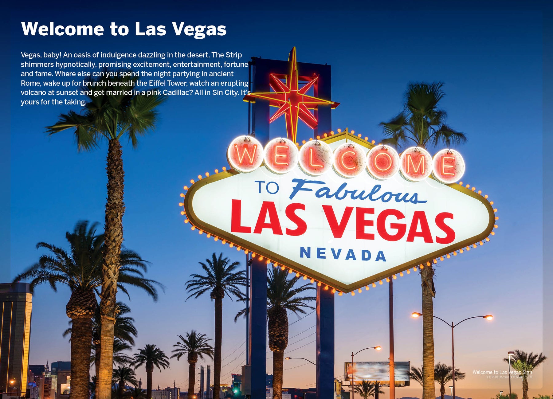 Pocket Las Vegas - Book