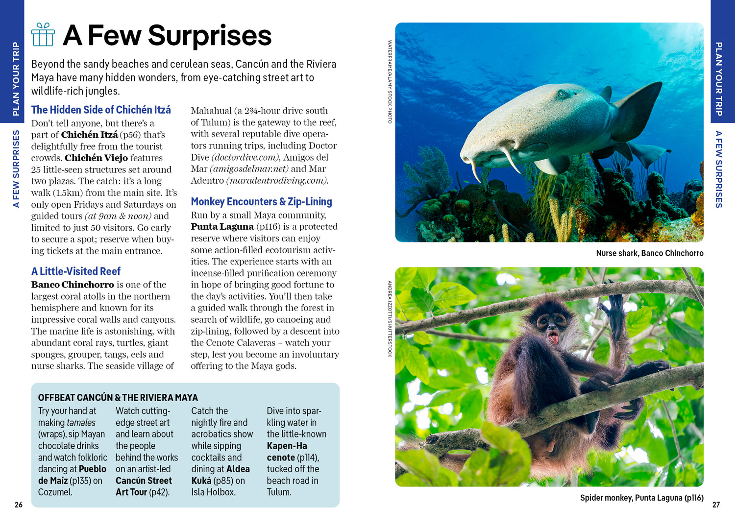 Pocket Cancun & the Riviera Maya - Book