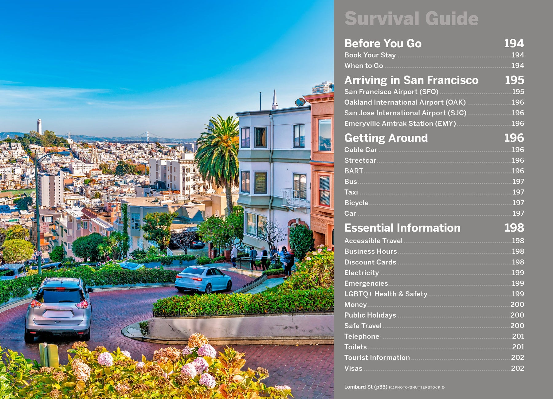 Pocket San Francisco - Book