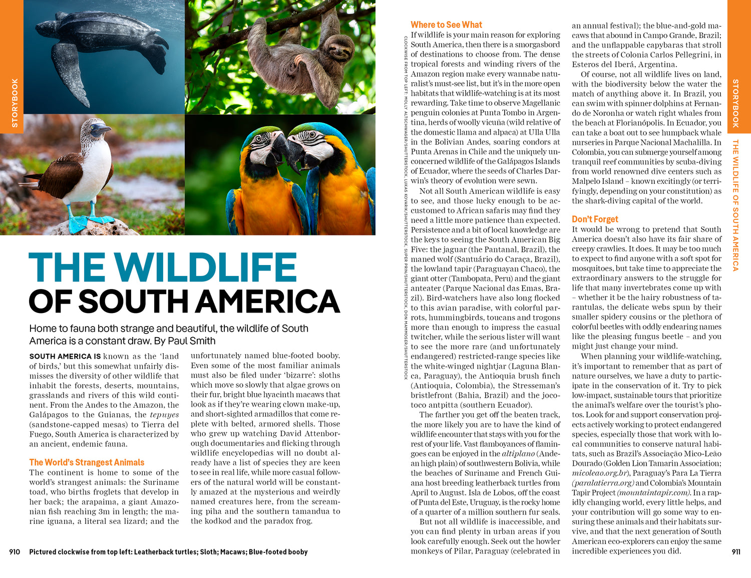 South America - Book