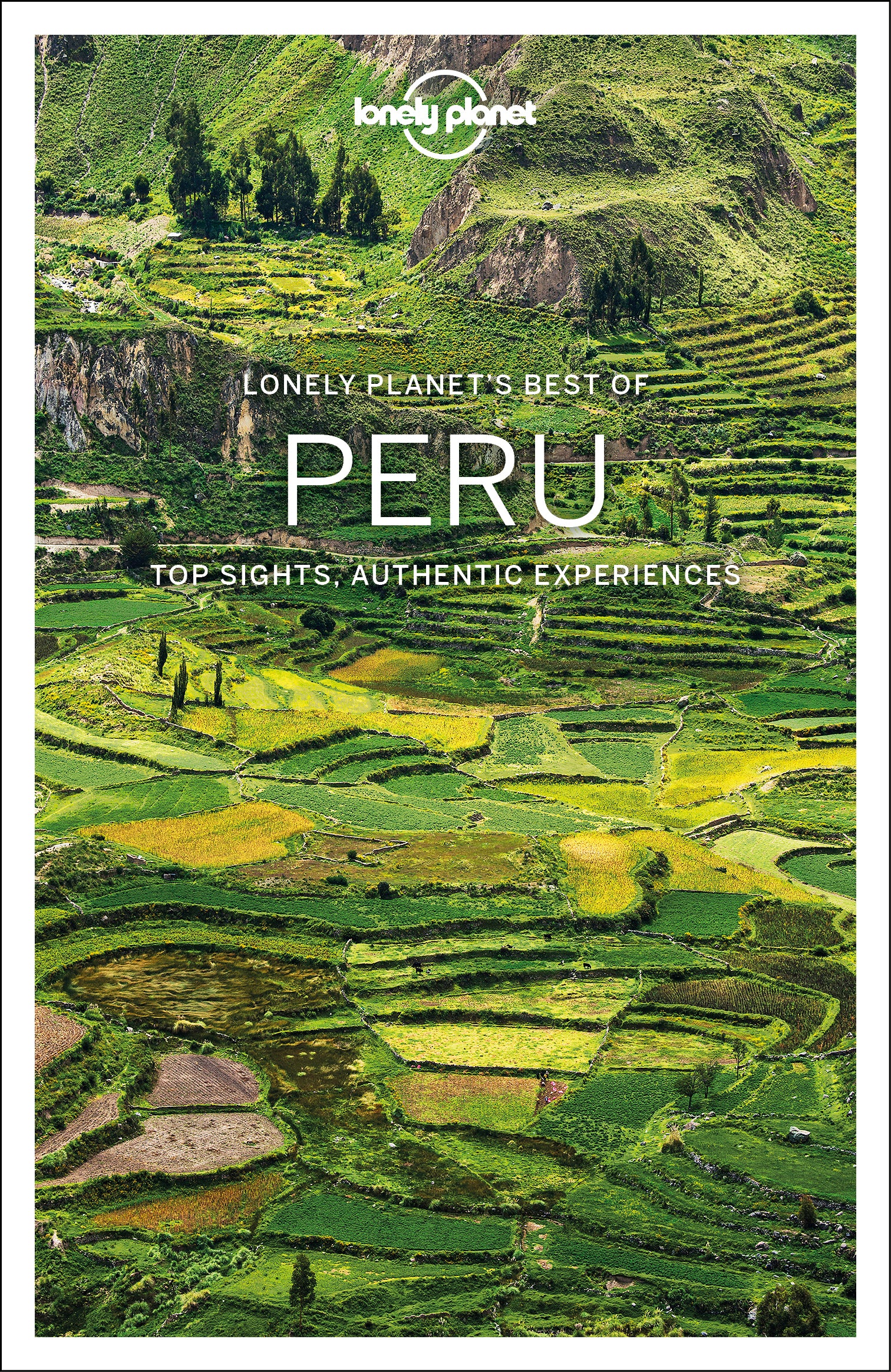 Best　Lonely　travel　of　guide　Peru　Planet　Online　Shop
