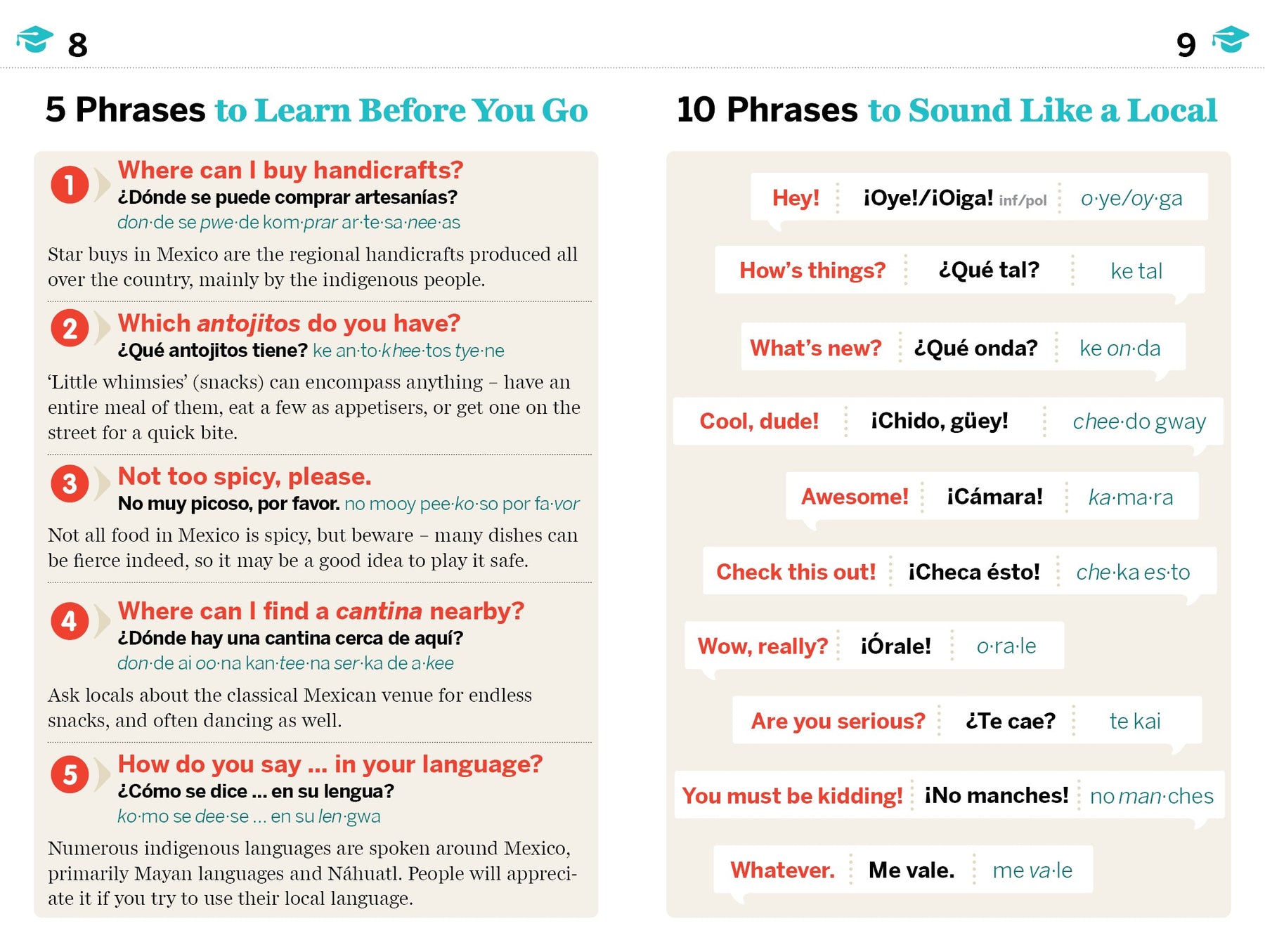 Mexican Spanish Phrasebook & Dictionary - Book