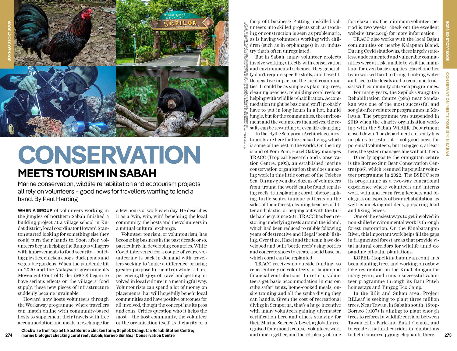 Borneo preview
