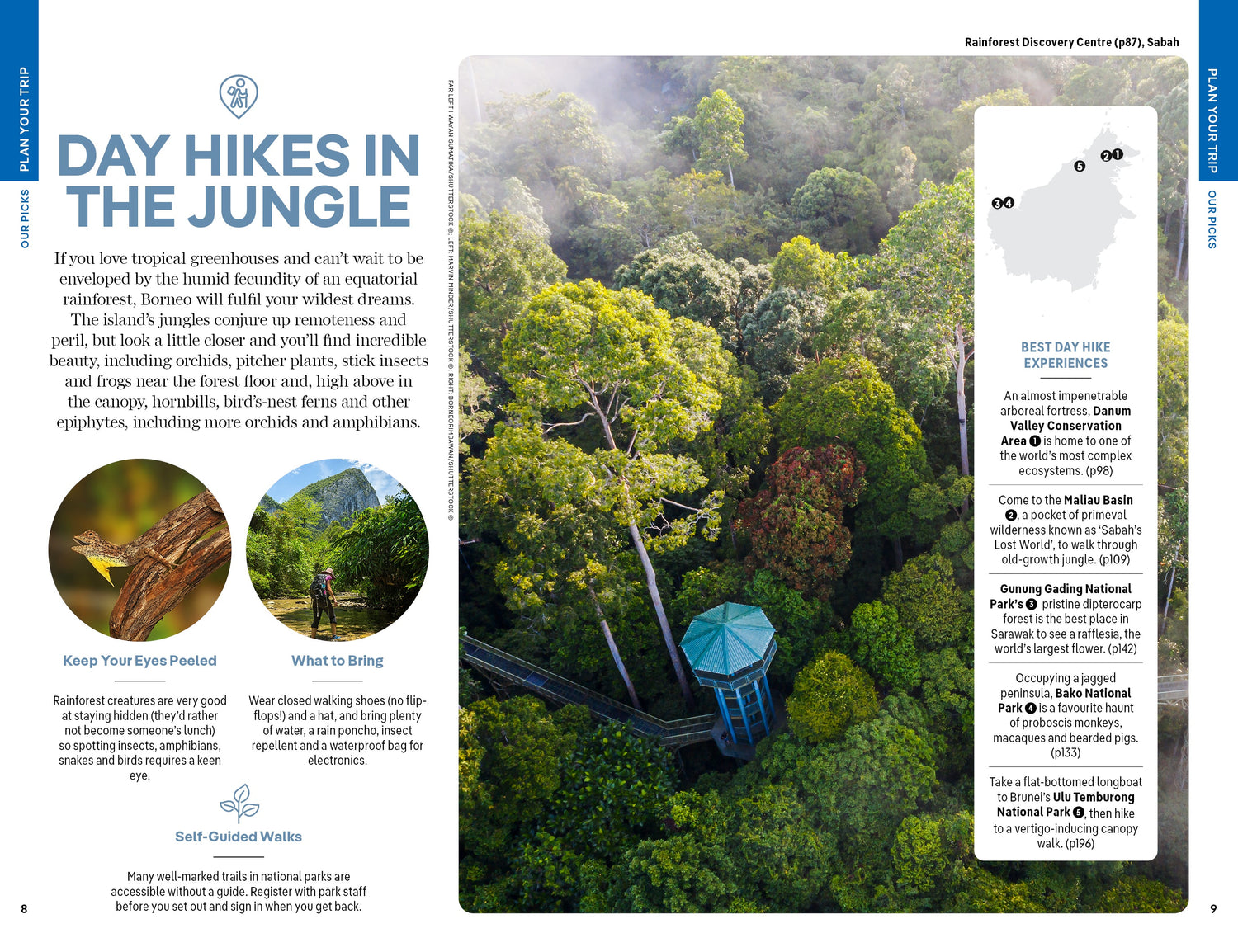 Borneo - Book + eBook