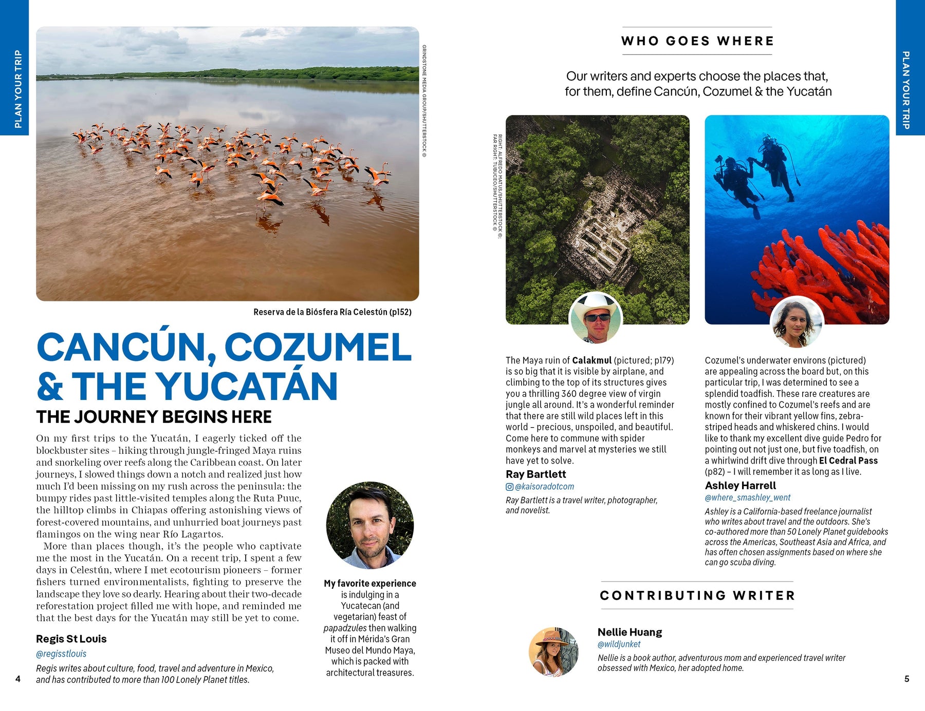 Cancun, Cozumel & the Yucatan - Book + eBook