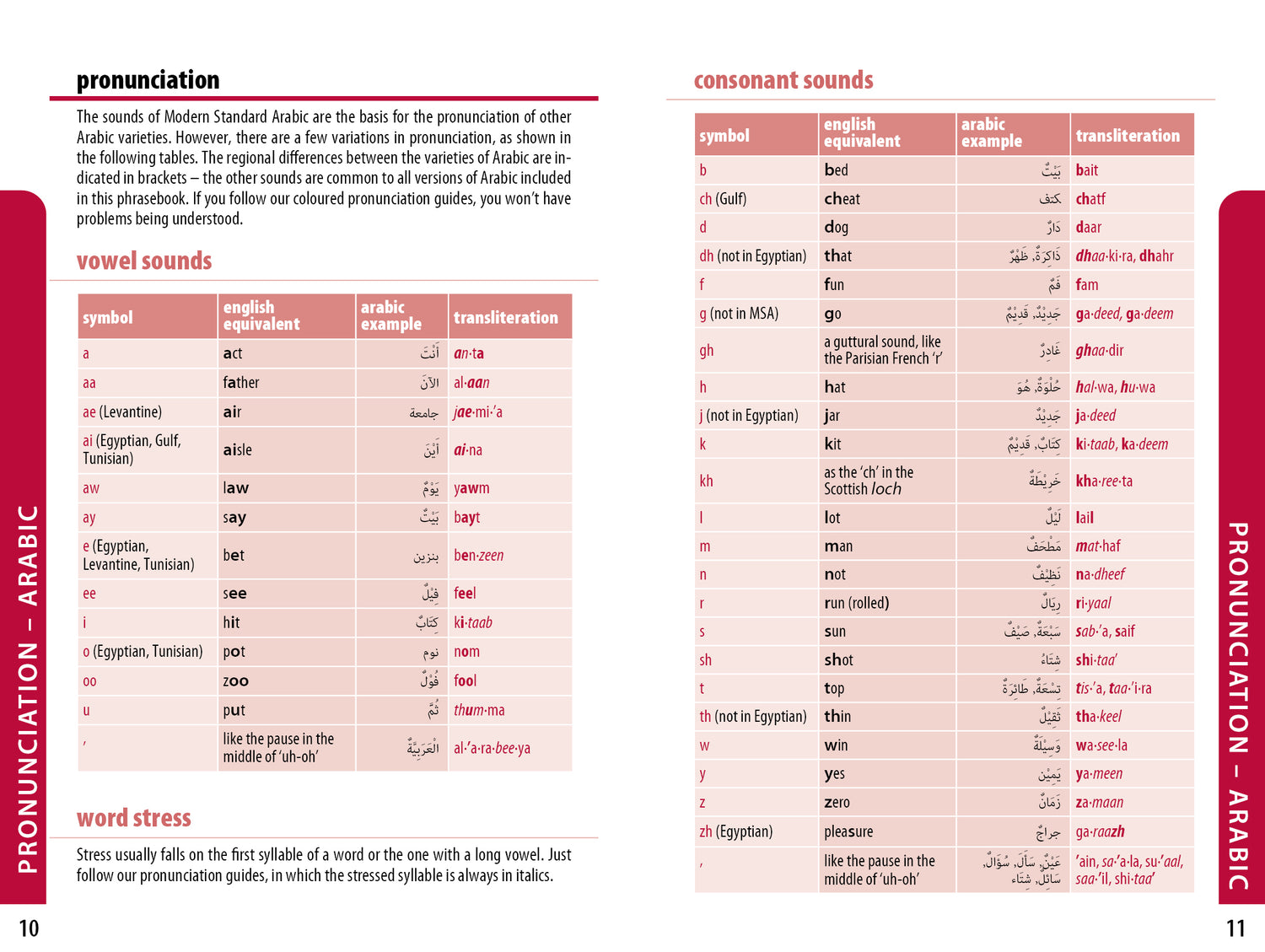 Middle East Phrasebook & Dictionary