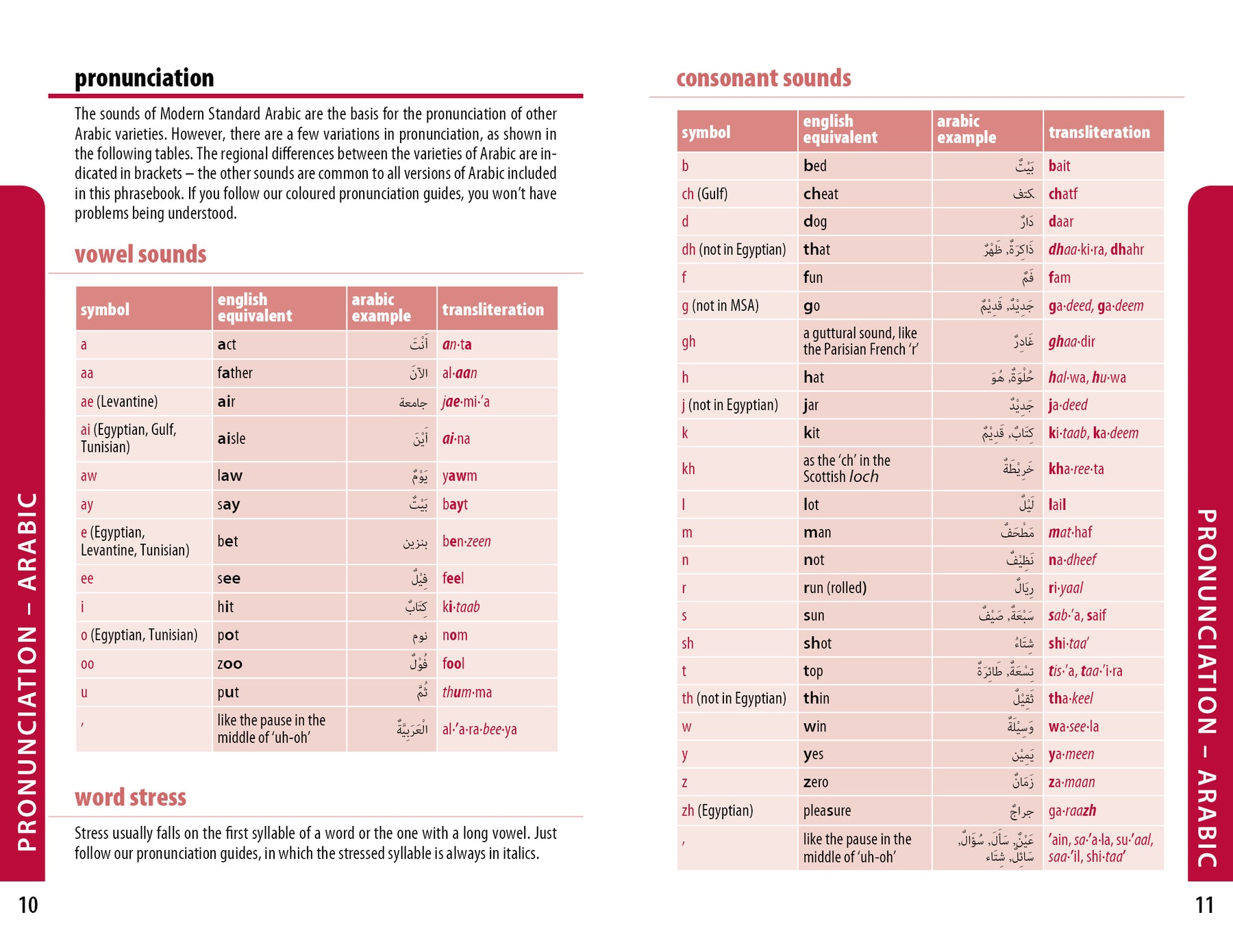 Middle East Phrasebook & Dictionary