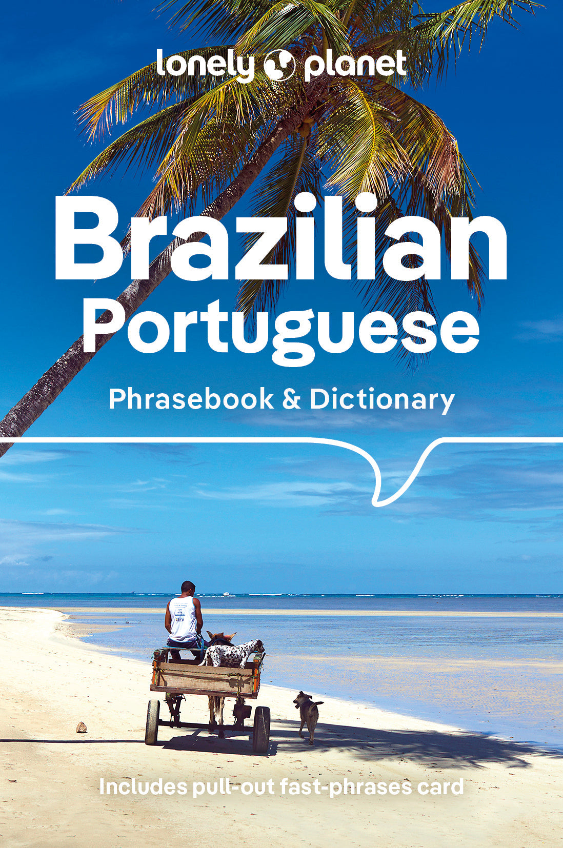 Brazilian Portuguese Phrasebook & Dictionary - Book