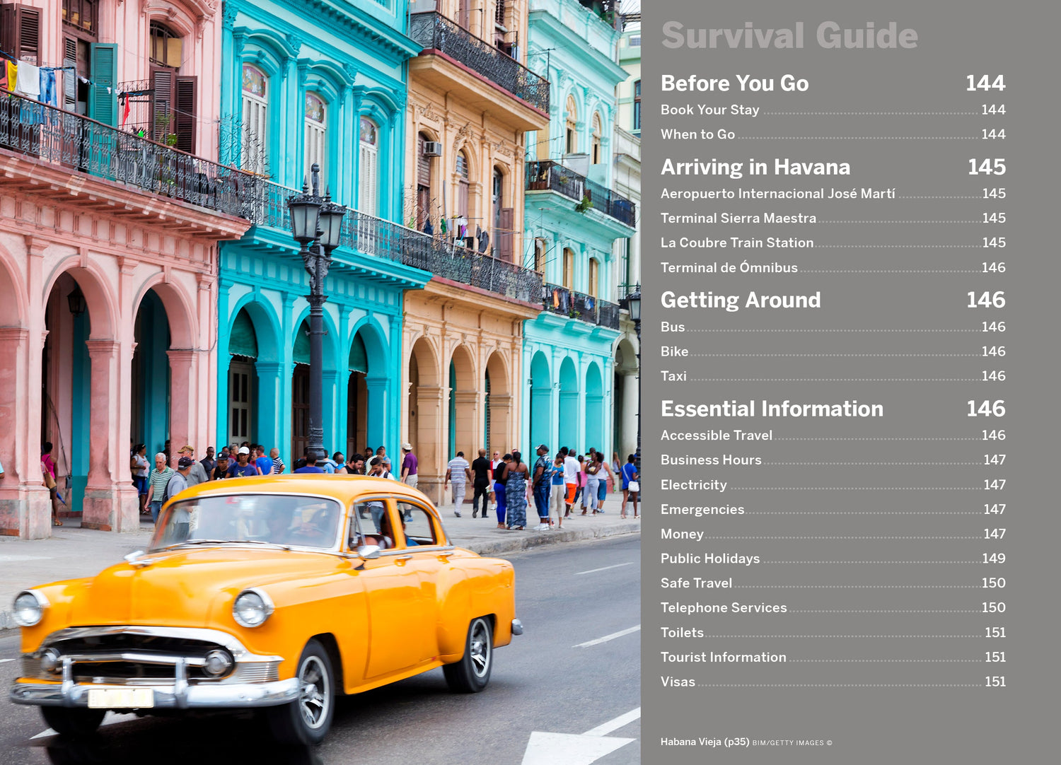 Pocket Havana - Book