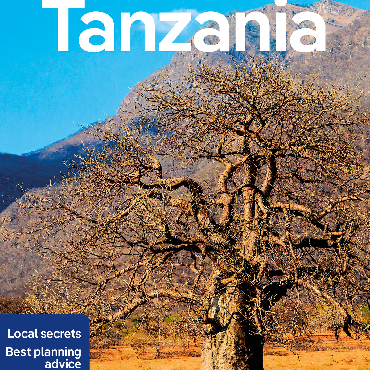Essential Guide for New Zealanders Exploring Tanzania: Top Tips and Must-See Attractions - Must-See Attractions in Tanzania