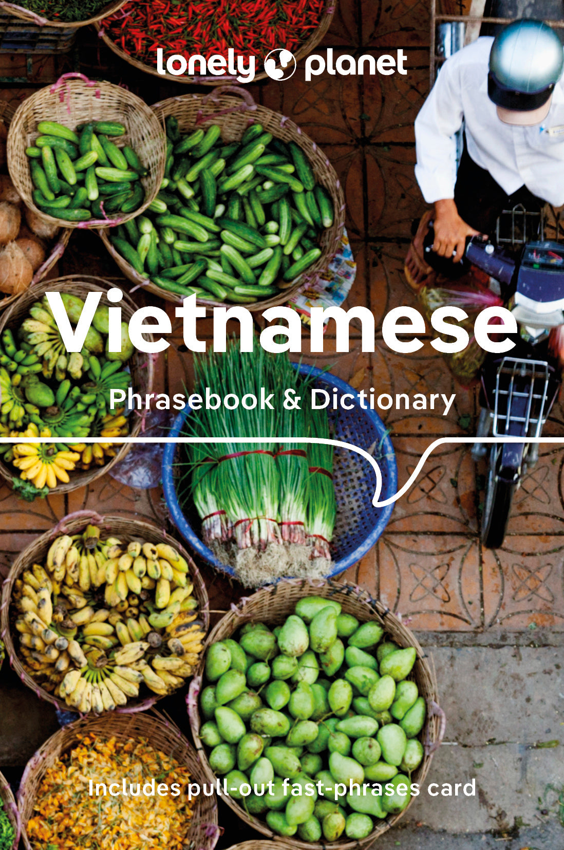 Vietnamese Phrasebook & Dictionary - Book