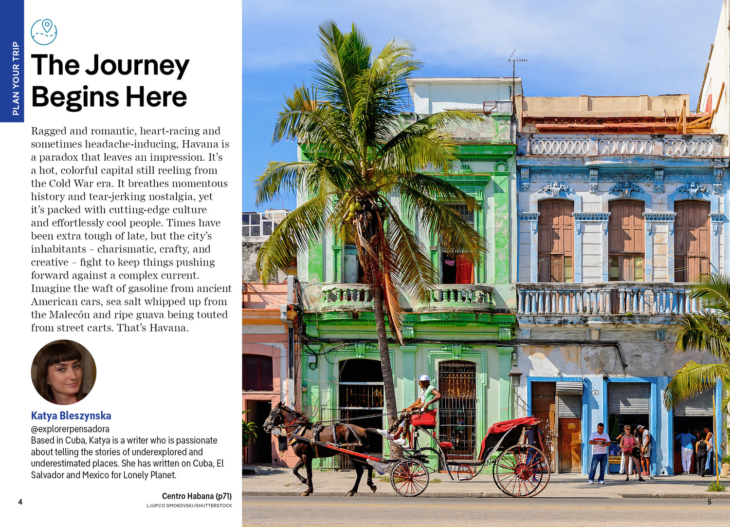 Pocket Havana - Book