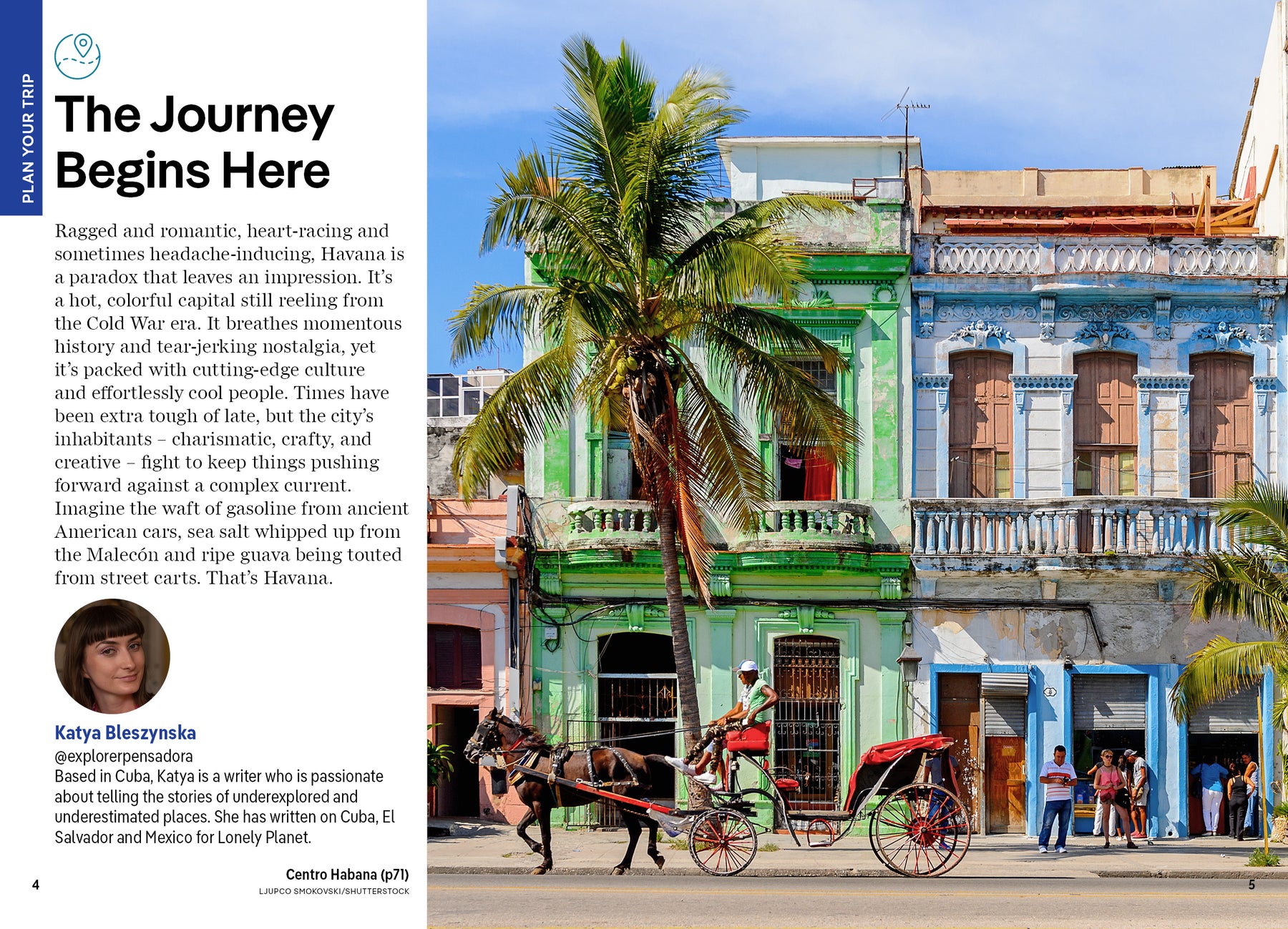 Pocket Havana - Book