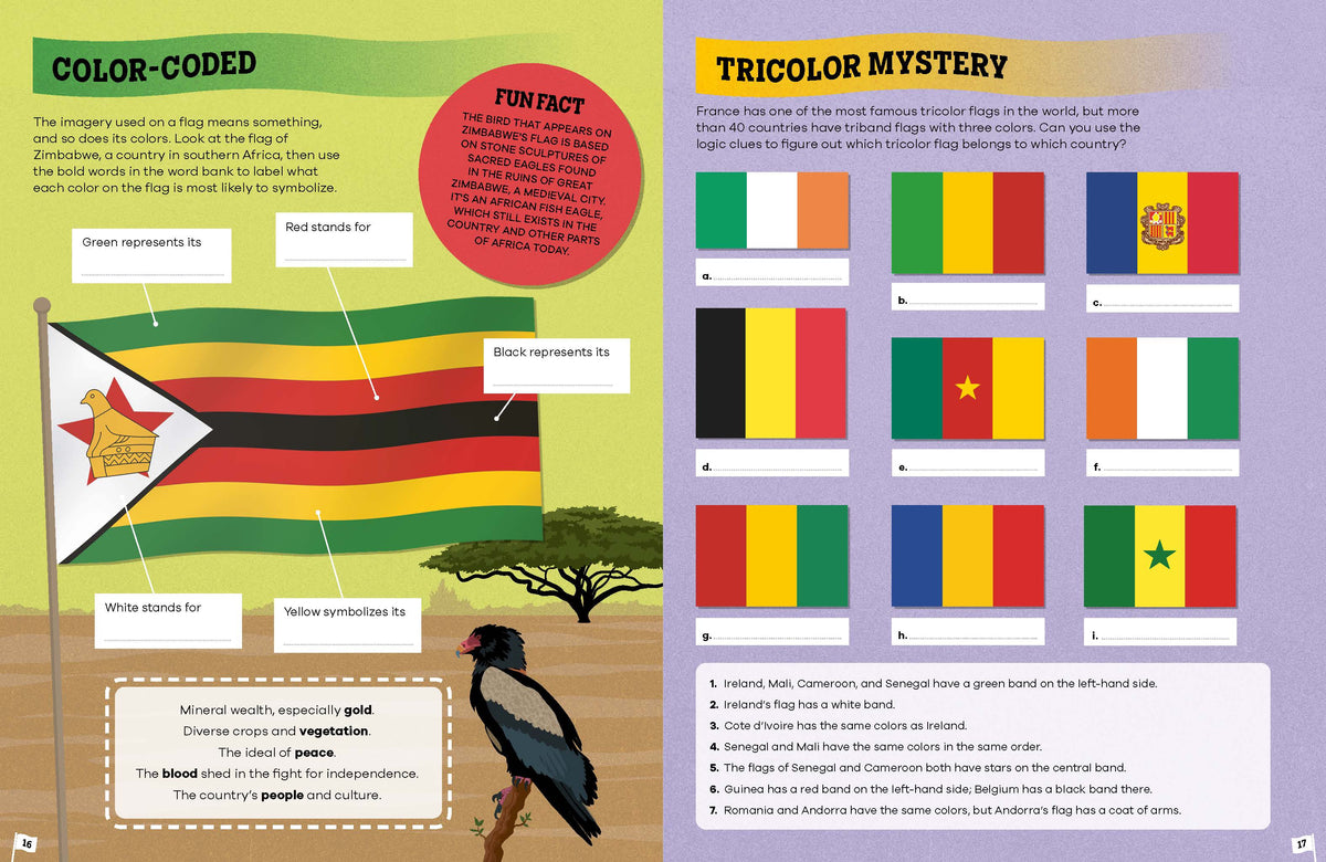 The Flag Activity Book (North & South America edition)