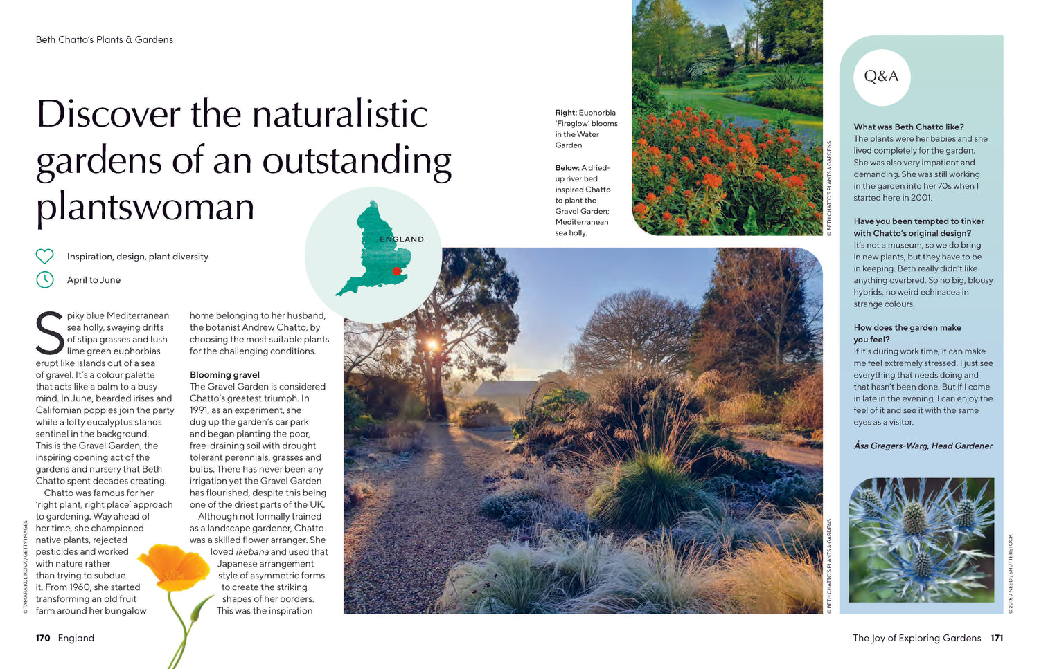 The Joy of Exploring Gardens