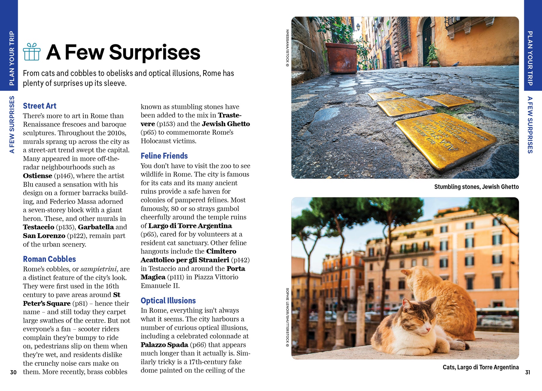 Pocket Rome - Book