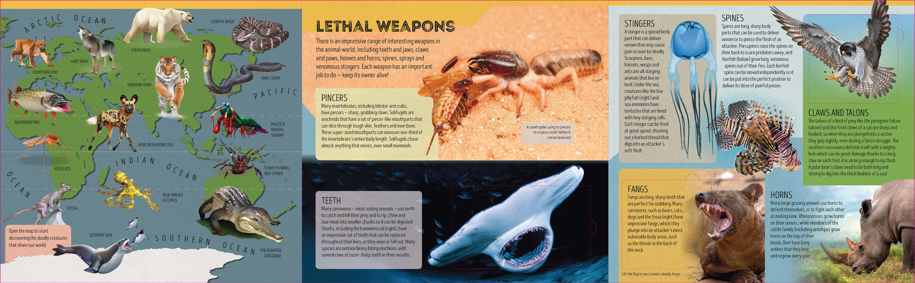 Deadly Animal Atlas (North and South America edition)