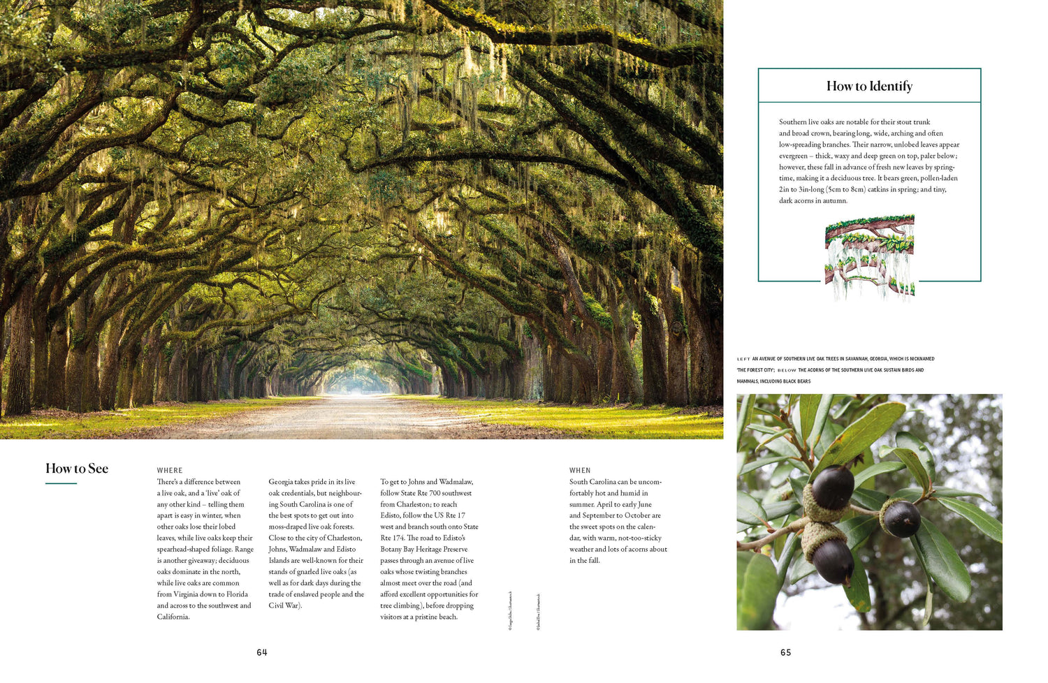The Tree Atlas