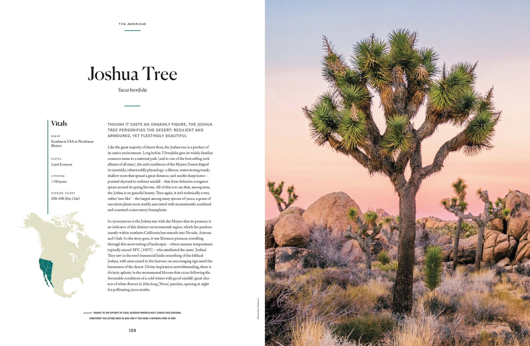The Tree Atlas