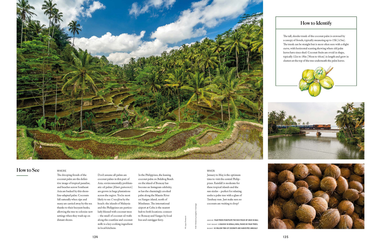 The Tree Atlas