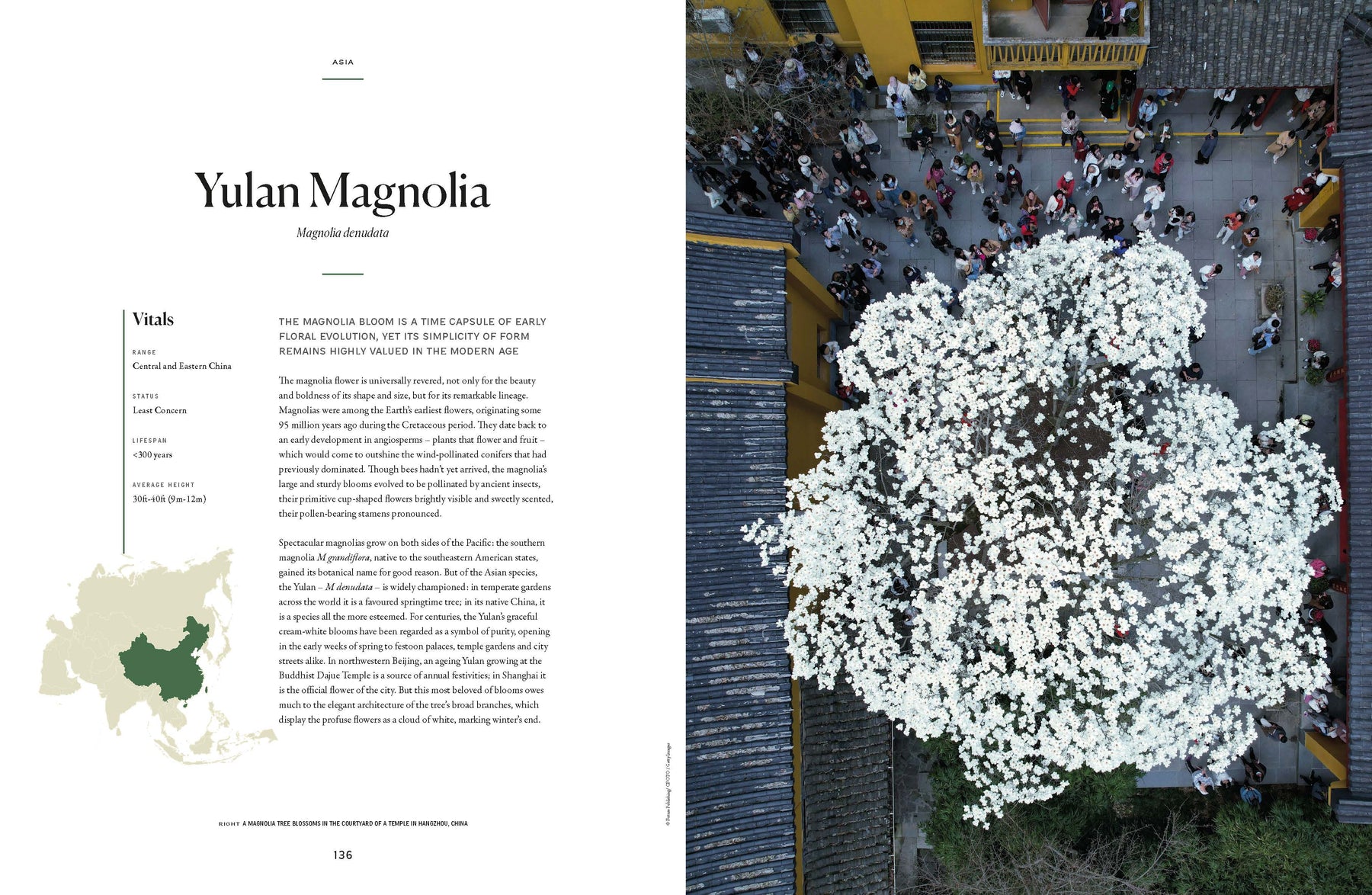 The Tree Atlas