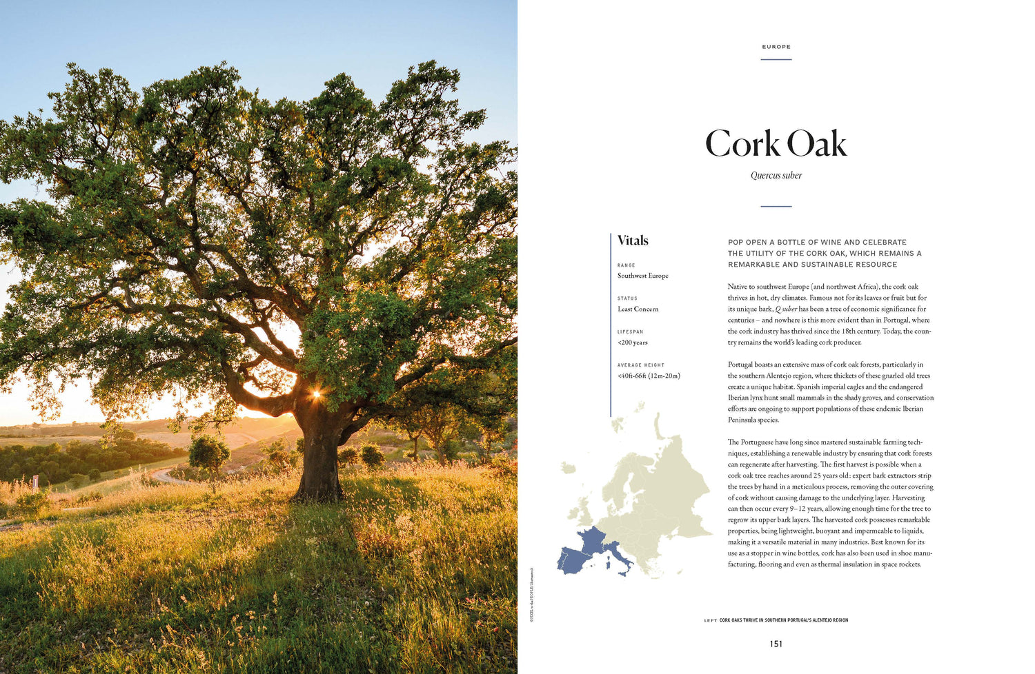 The Tree Atlas