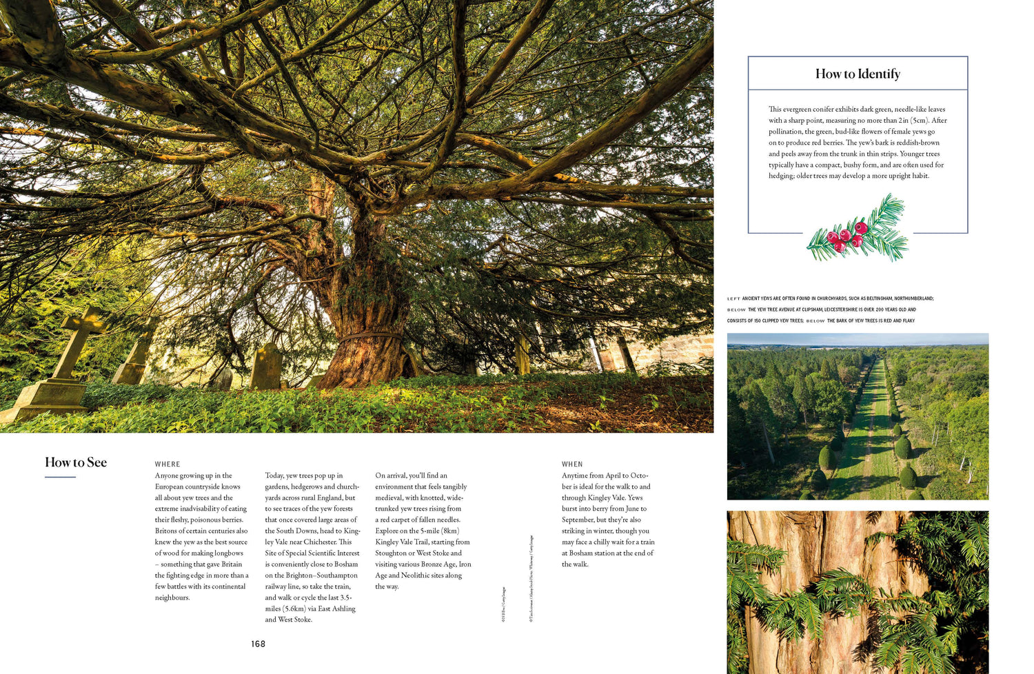 The Tree Atlas