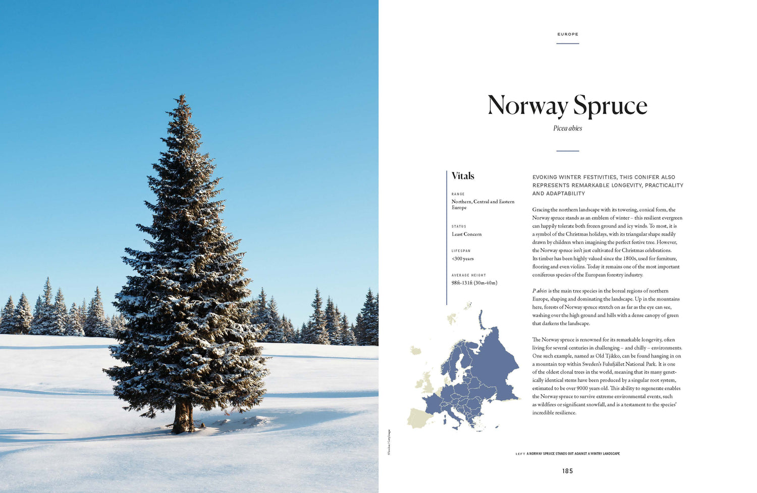 The Tree Atlas