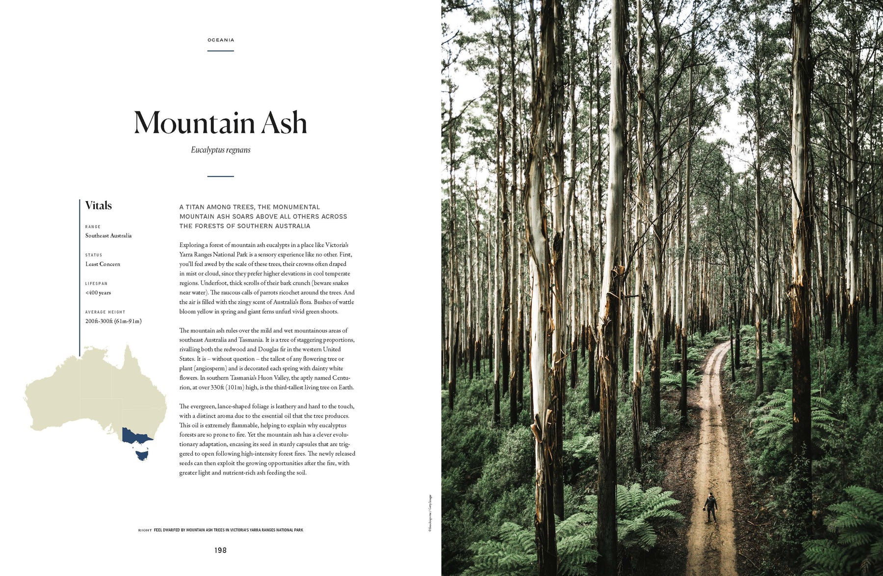The Tree Atlas