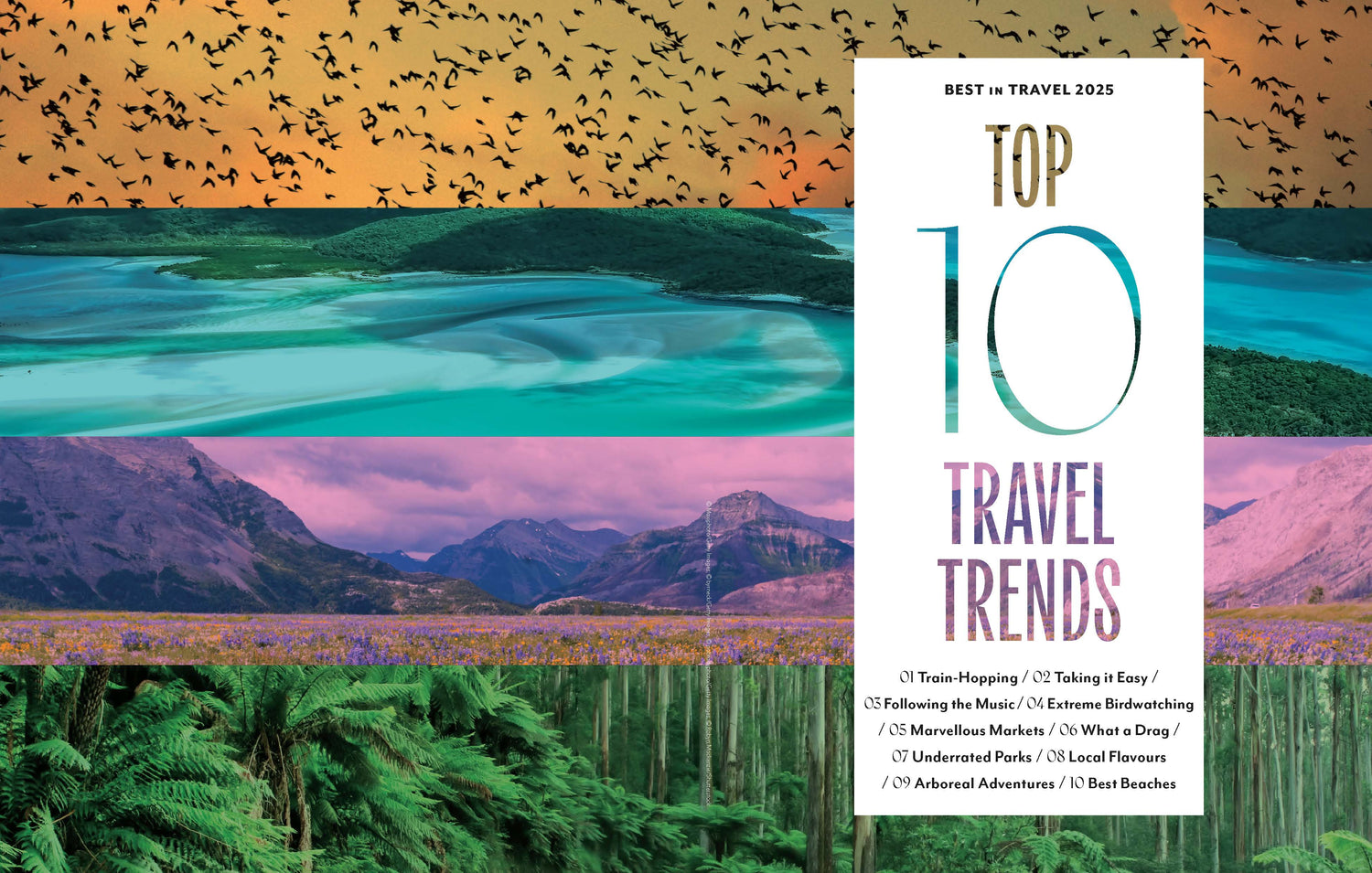 Lonely Planet's Best in Travel 2025 - Book