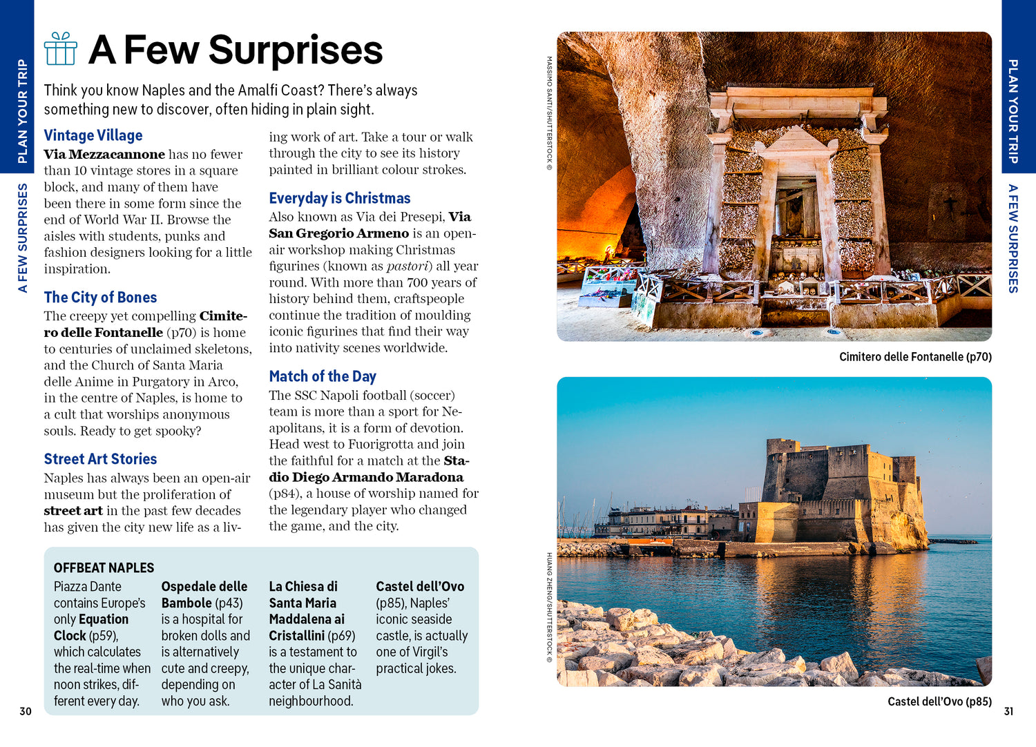 Pocket Naples & the Amalfi Coast  - Book