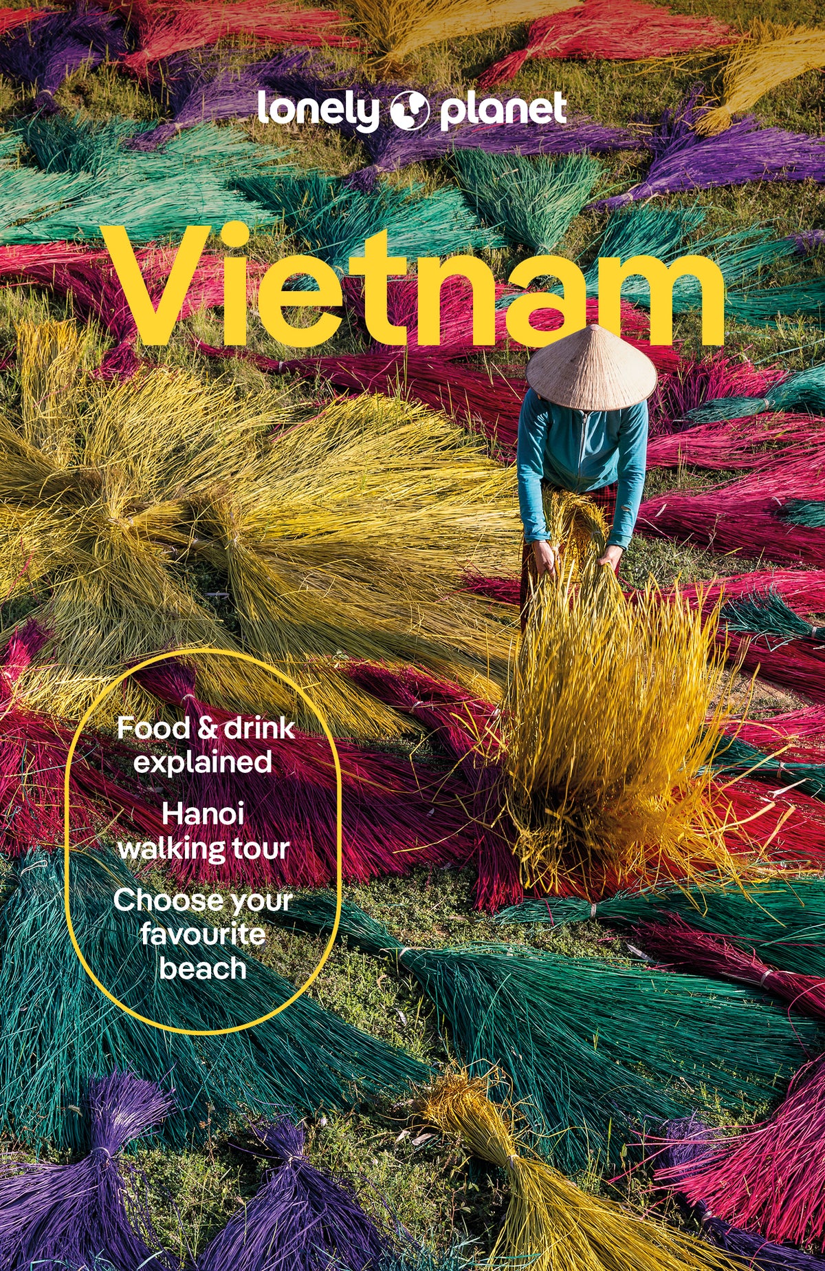 Vietnam Travel Guide