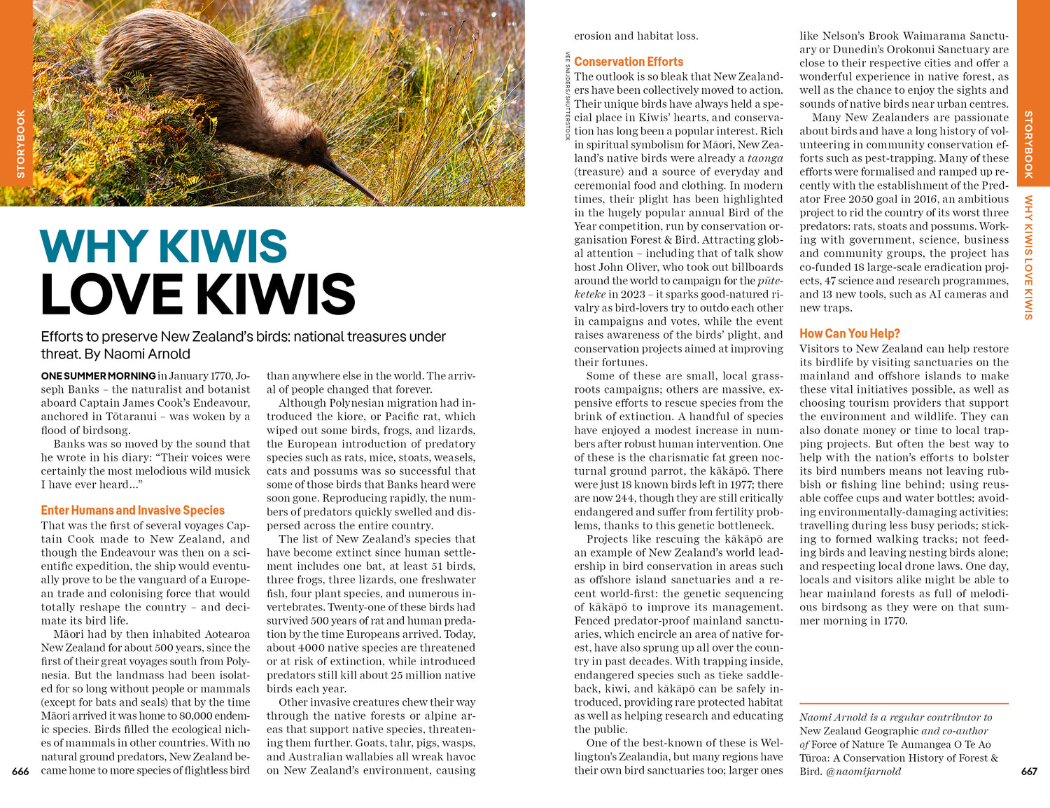 New Zealand - Book