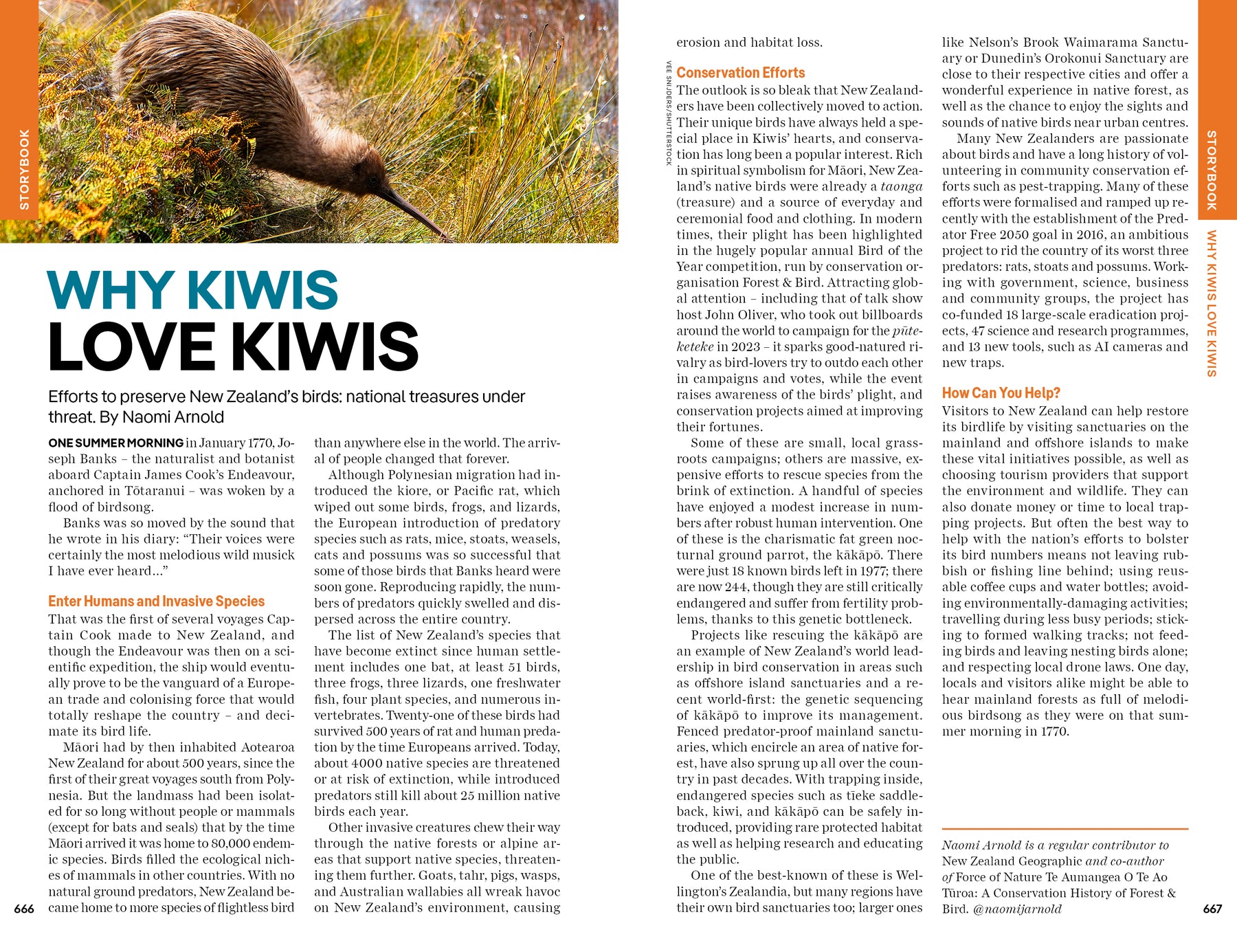 New Zealand - Book