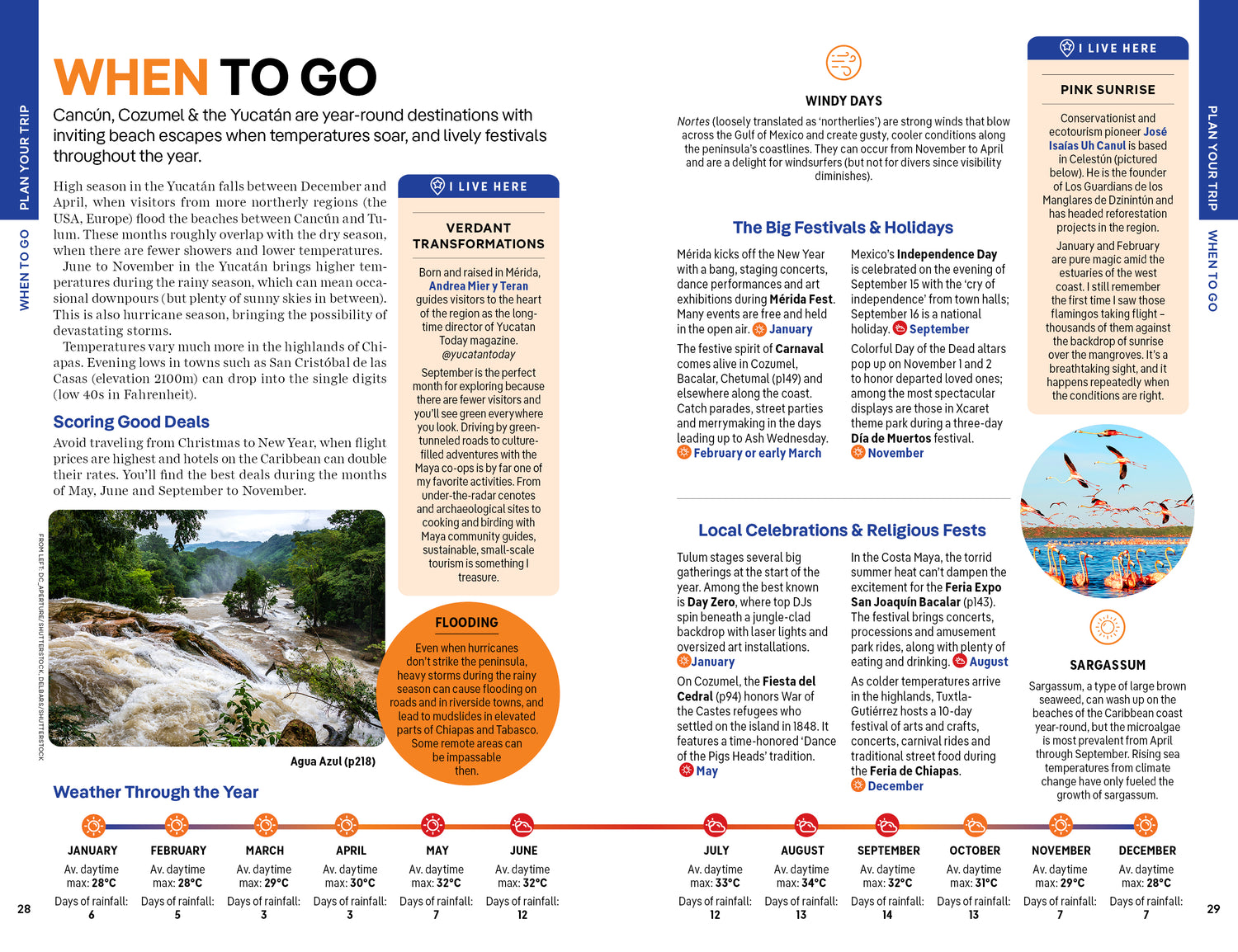 Cancun, Cozumel & the Yucatan - Book