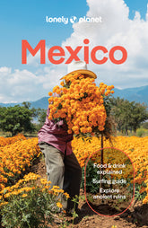 Mexico Travel Guide