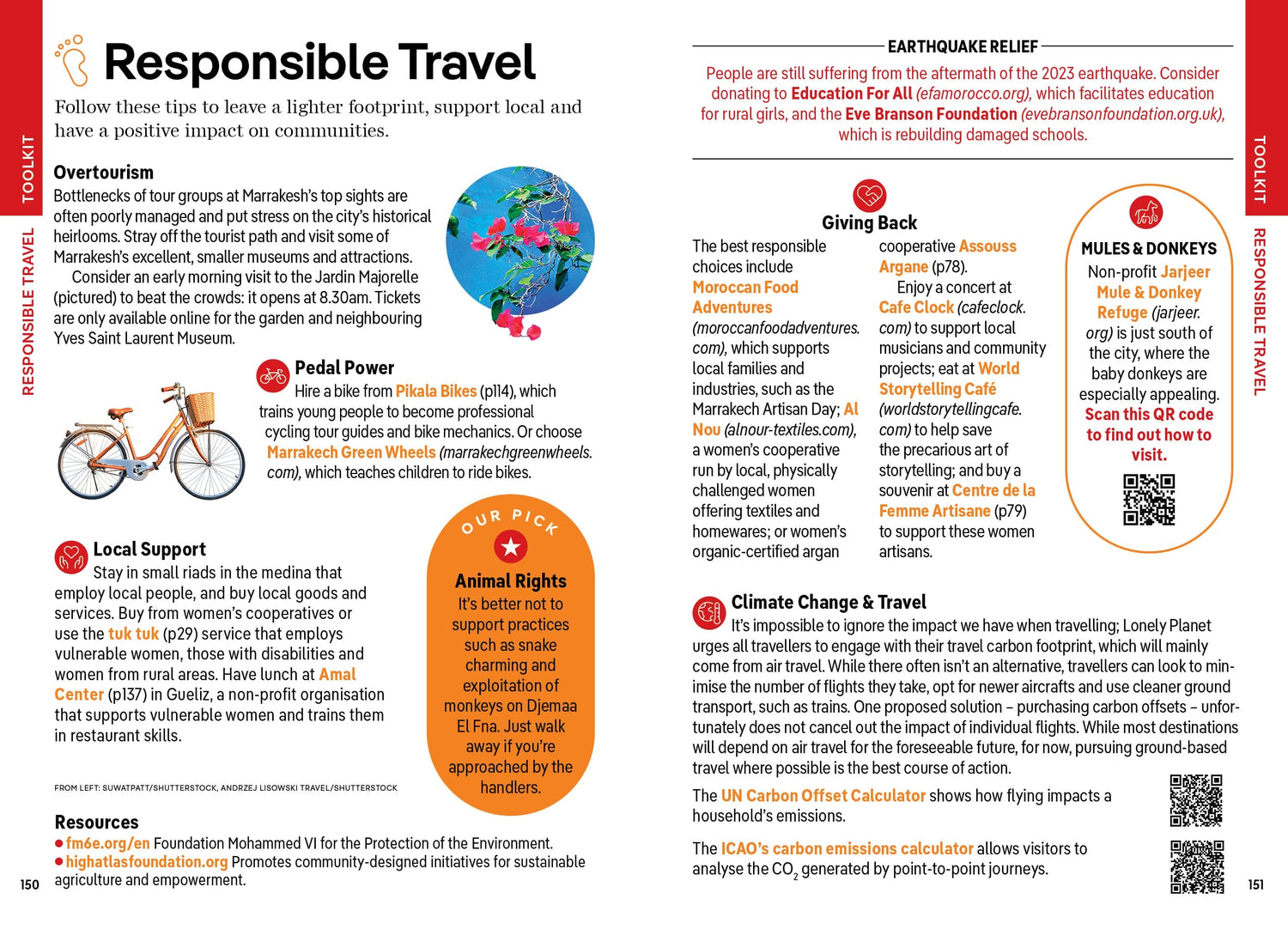 Pocket Marrakesh - Book