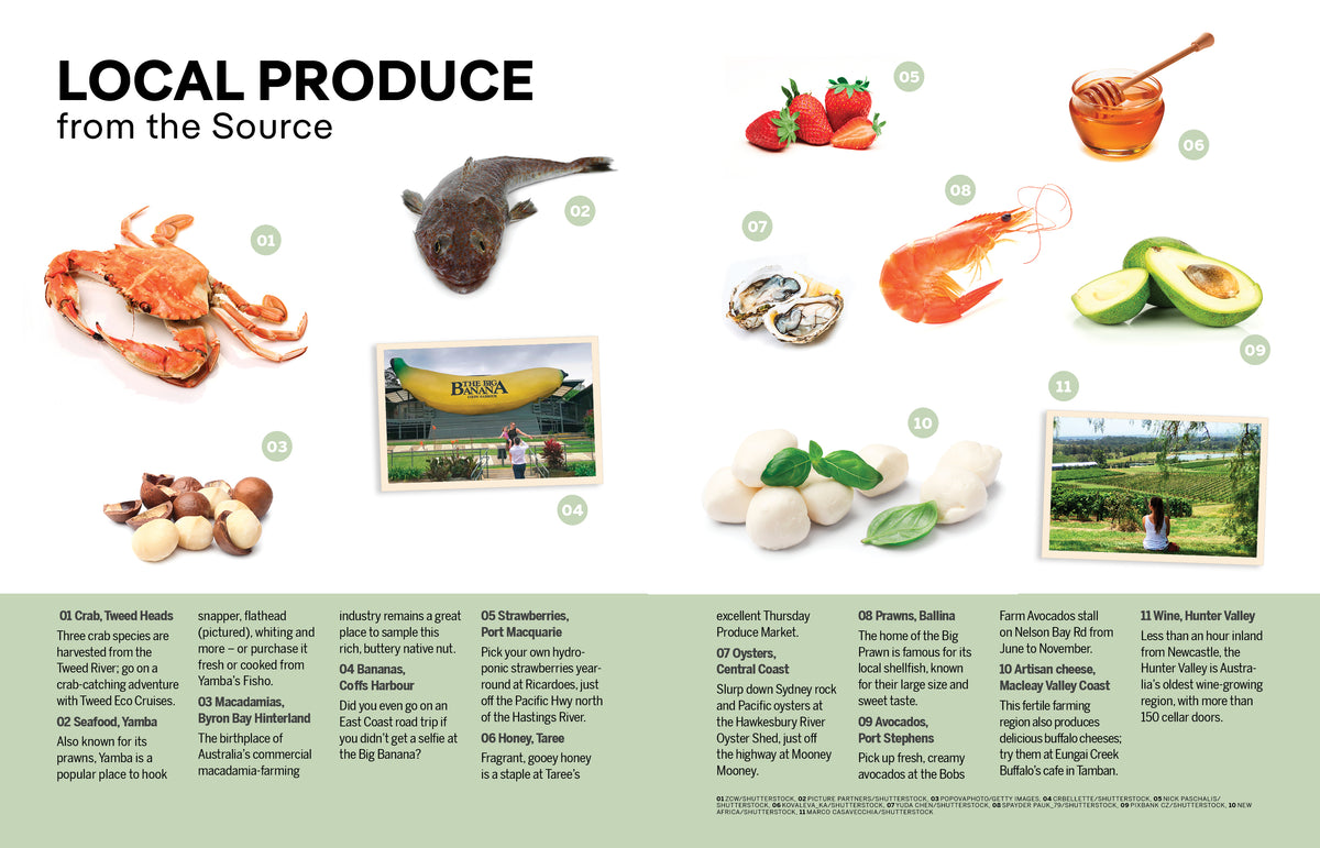 Experience East Coast Australia - Book