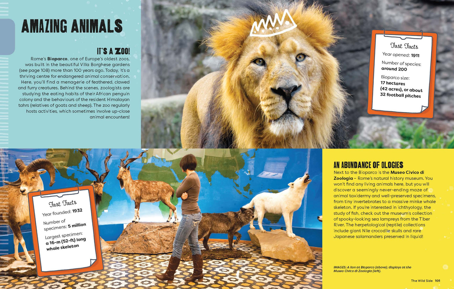 A Kid's Guide to Rome (North and South America edition)