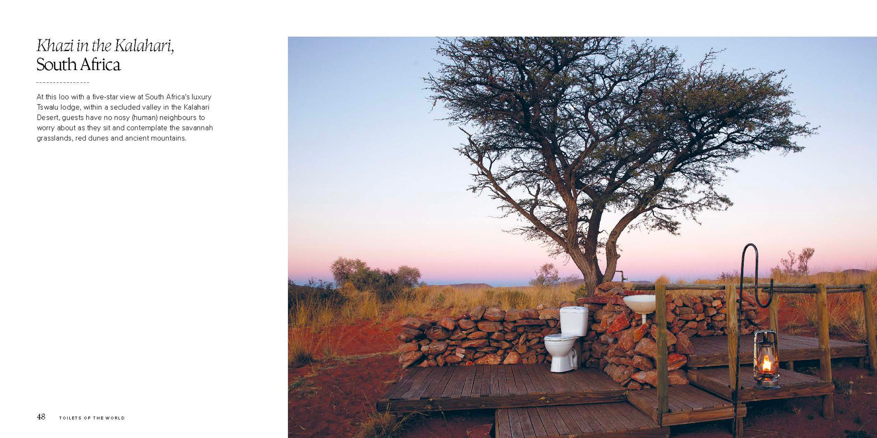 Toilets: A Spotter's Guide - Book