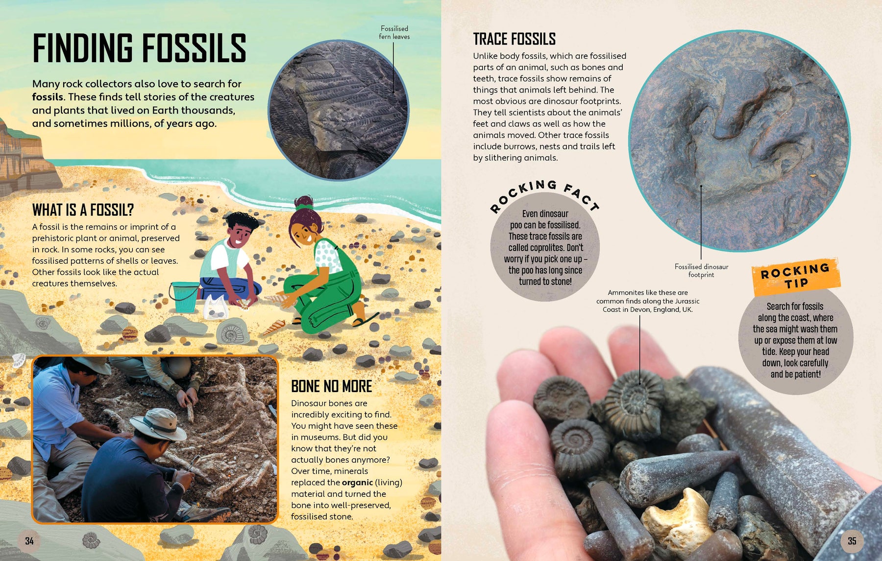 Let's Go Rock Collecting (North & South America edition)