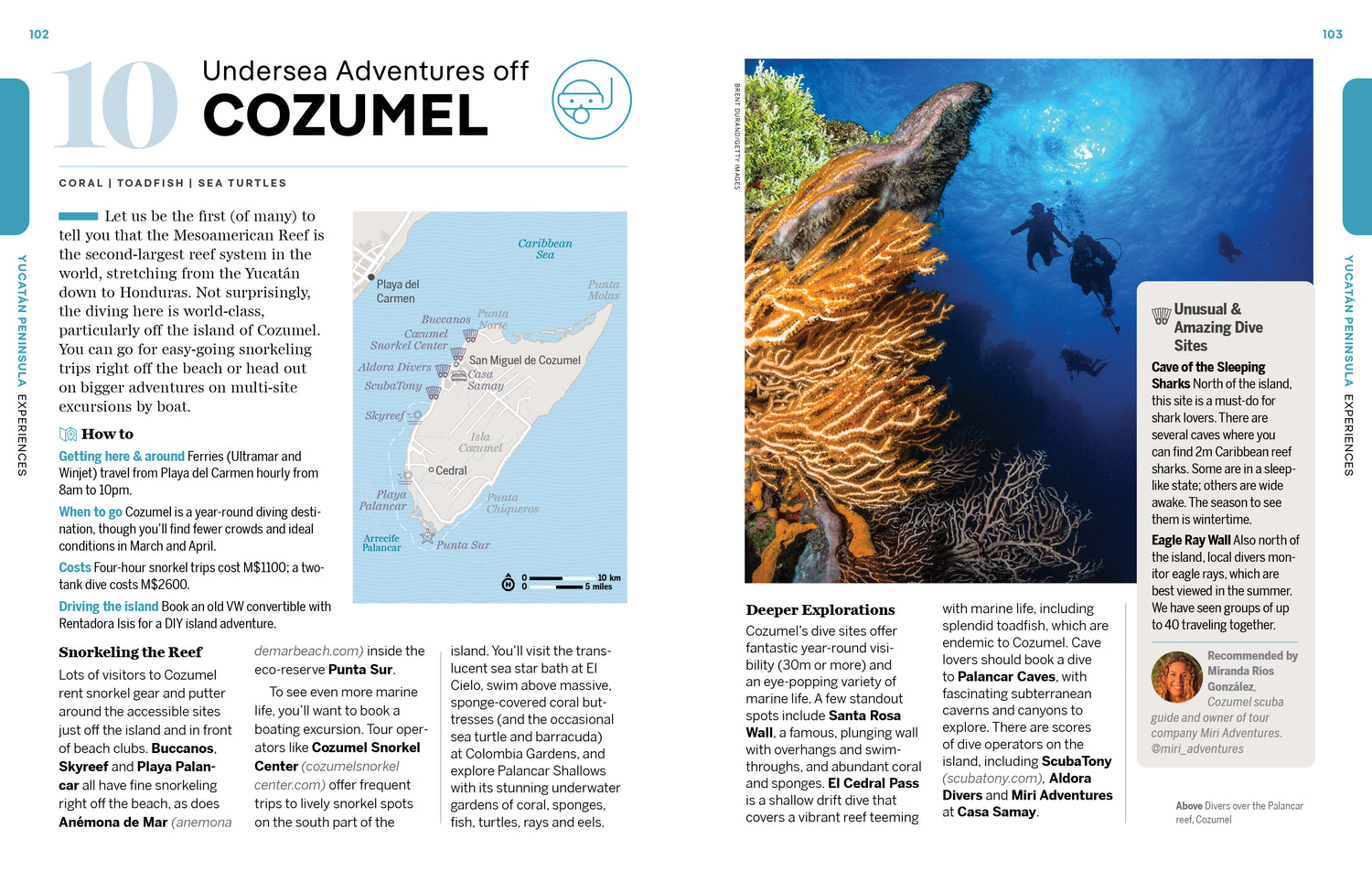 Experience Mexico - Book