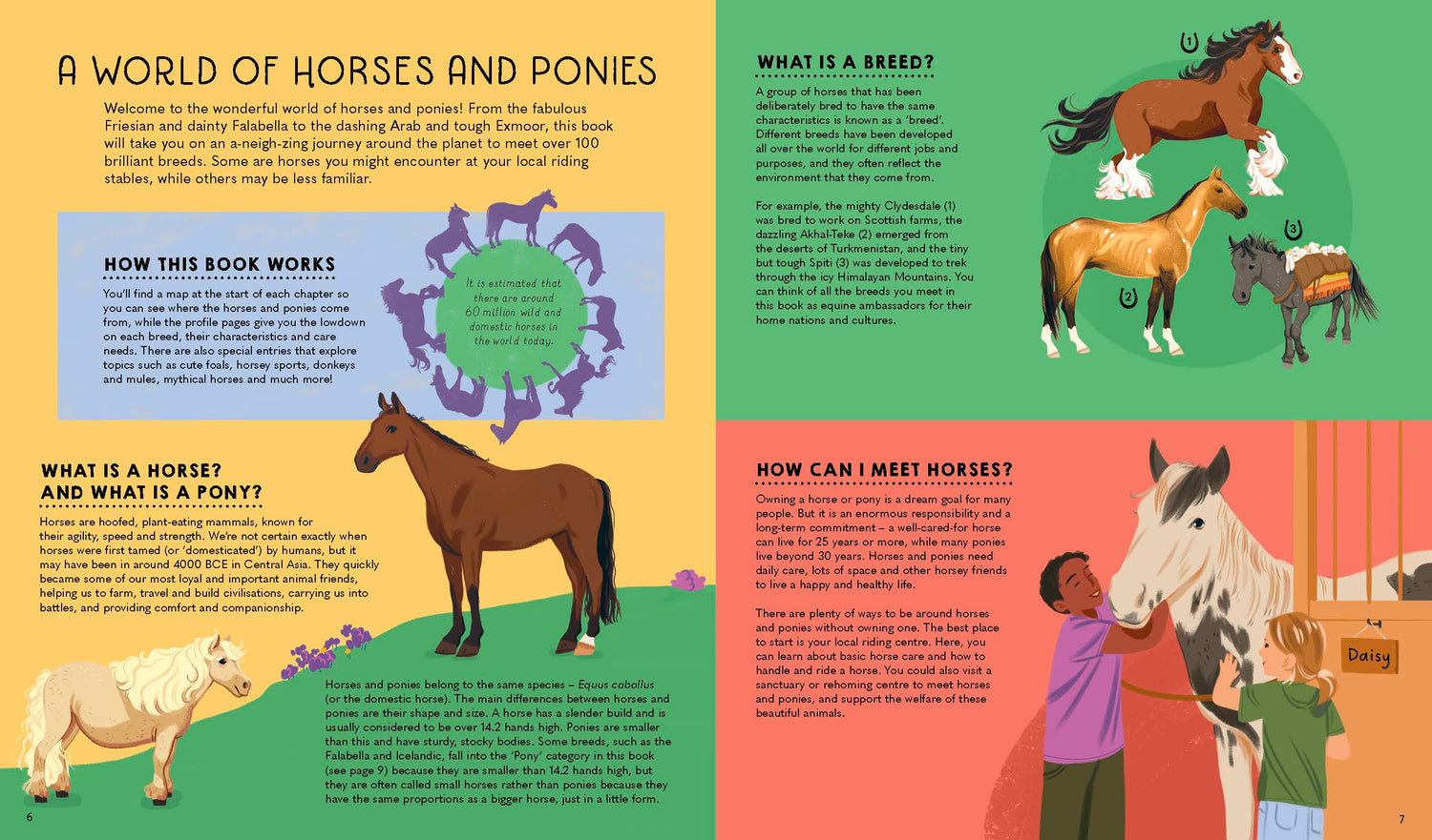 Atlas of Horses and Ponies (North & South America edition)