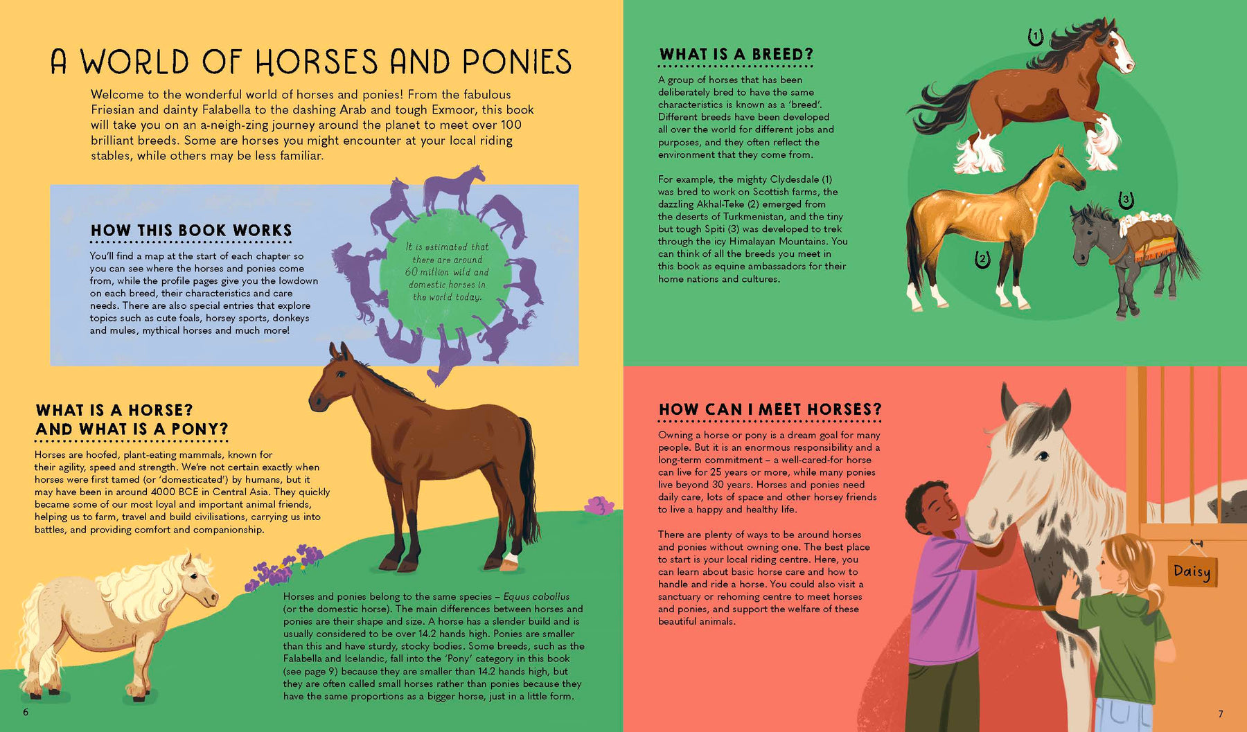 Atlas of Horses and Ponies (North & South America edition)