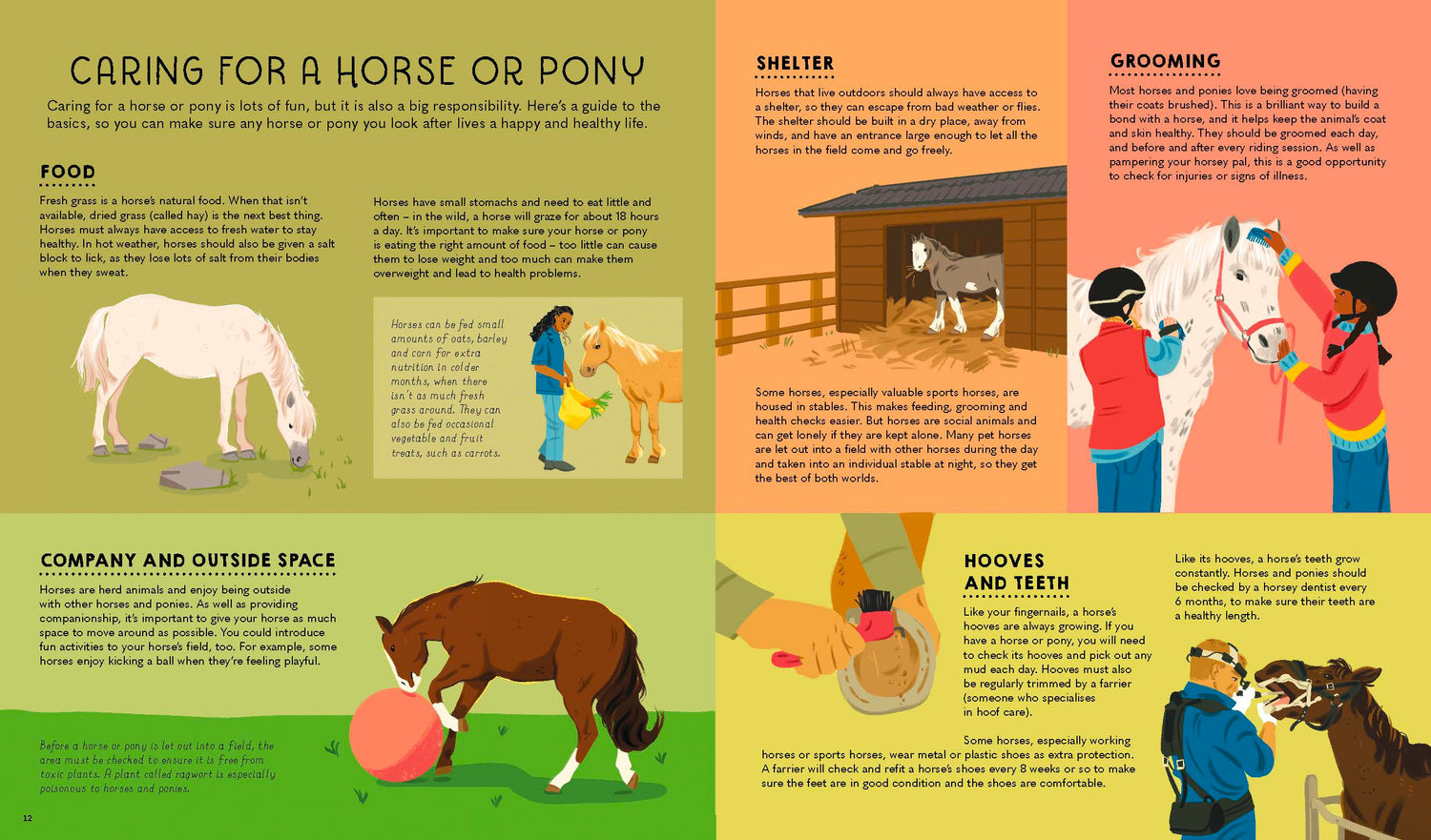 Atlas of Horses and Ponies (North & South America edition)