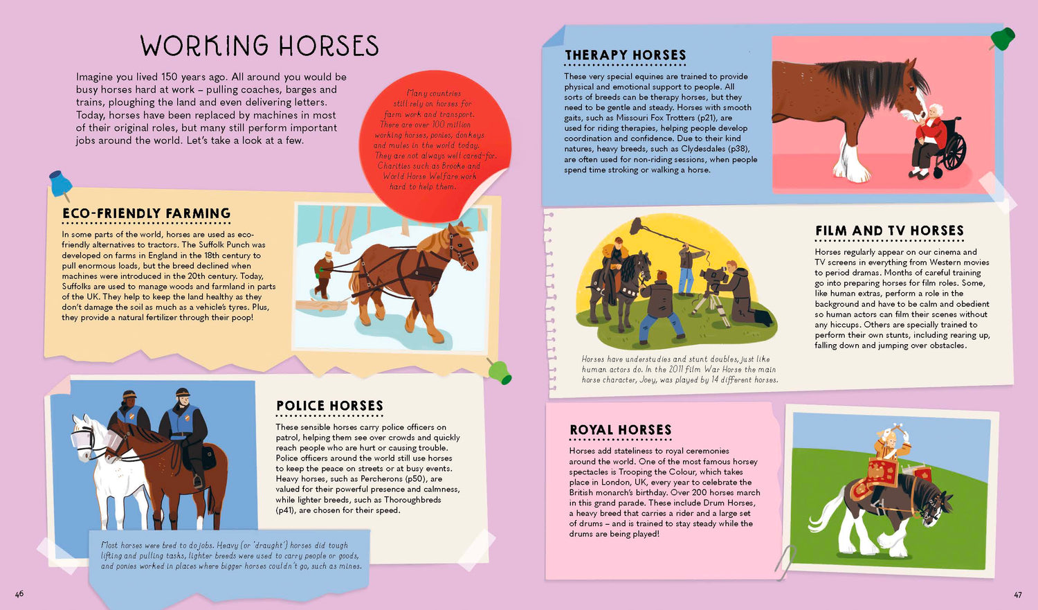 Atlas of Horses and Ponies (North & South America edition)