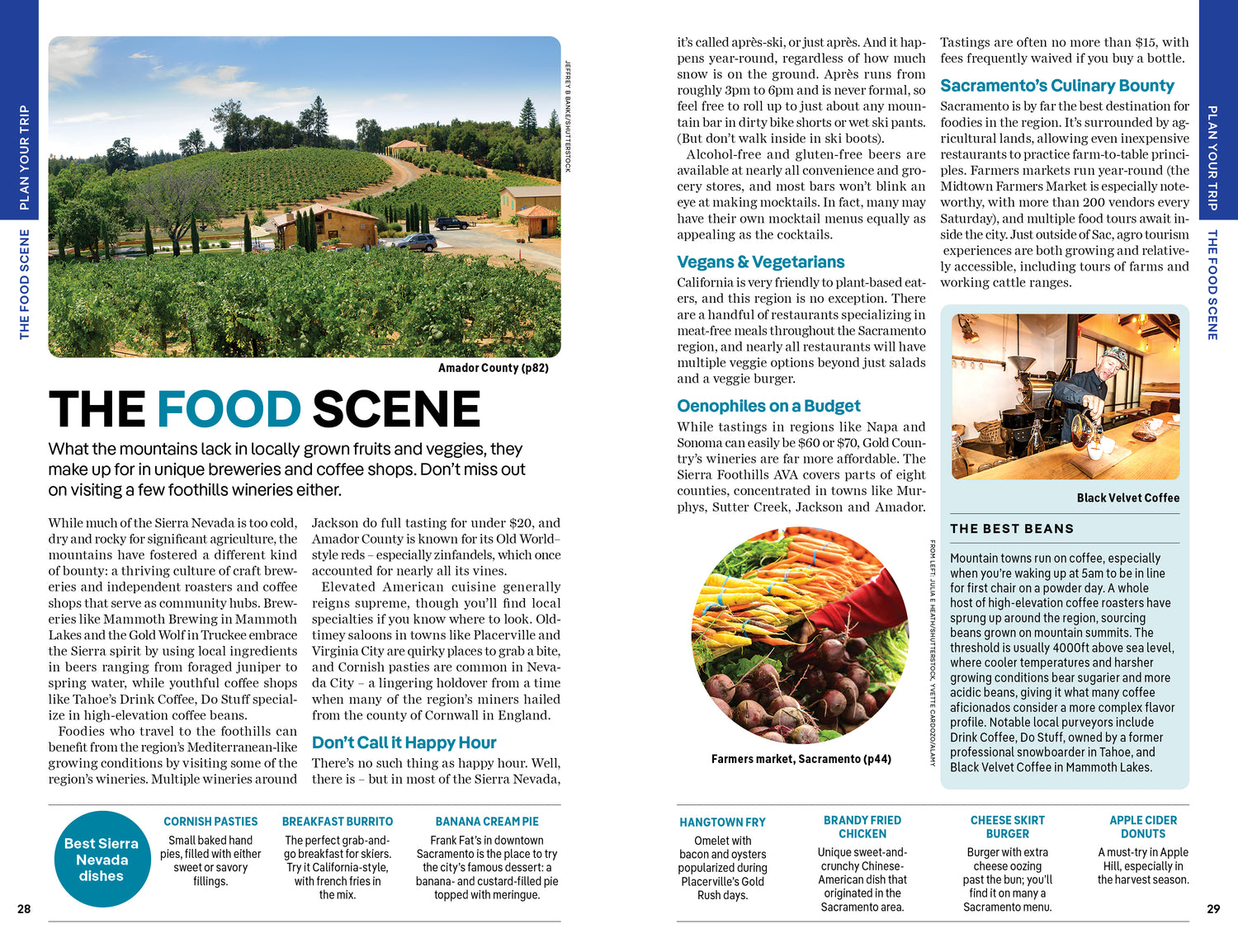 Lake Tahoe, Yosemite and Central California - Book