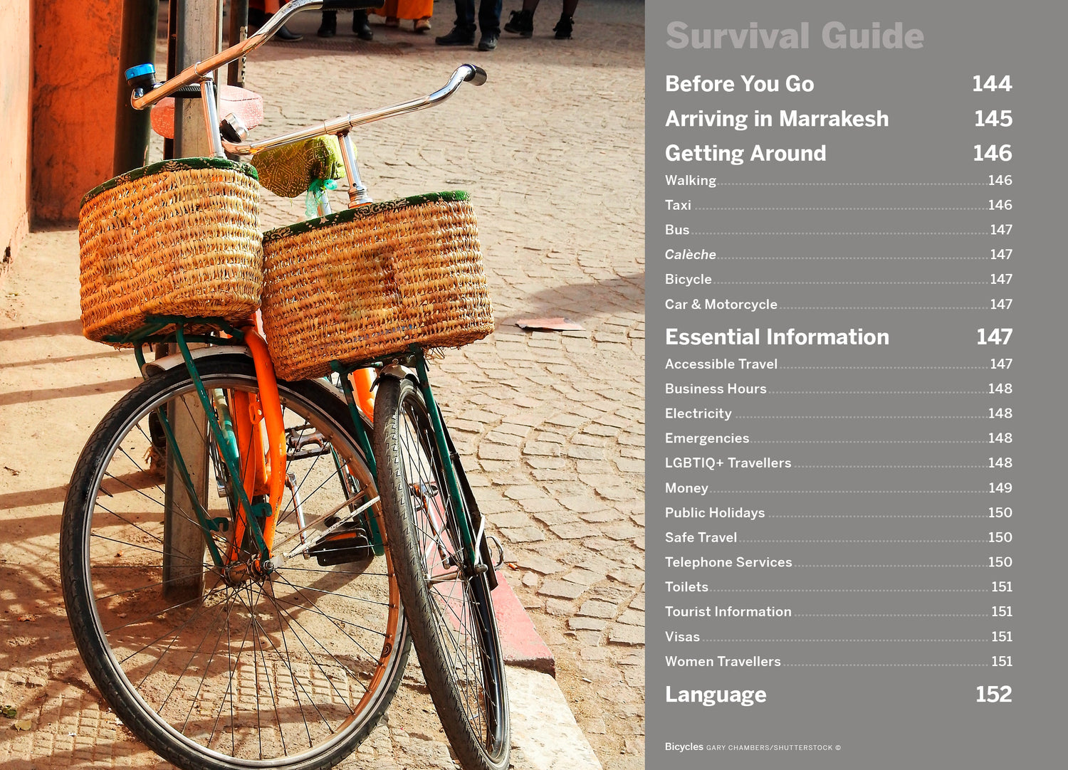 Pocket Marrakesh - Book