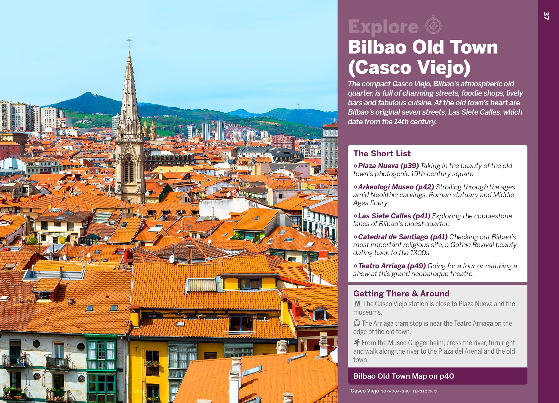 Pocket Bilbao & San Sebastian - Book + eBook