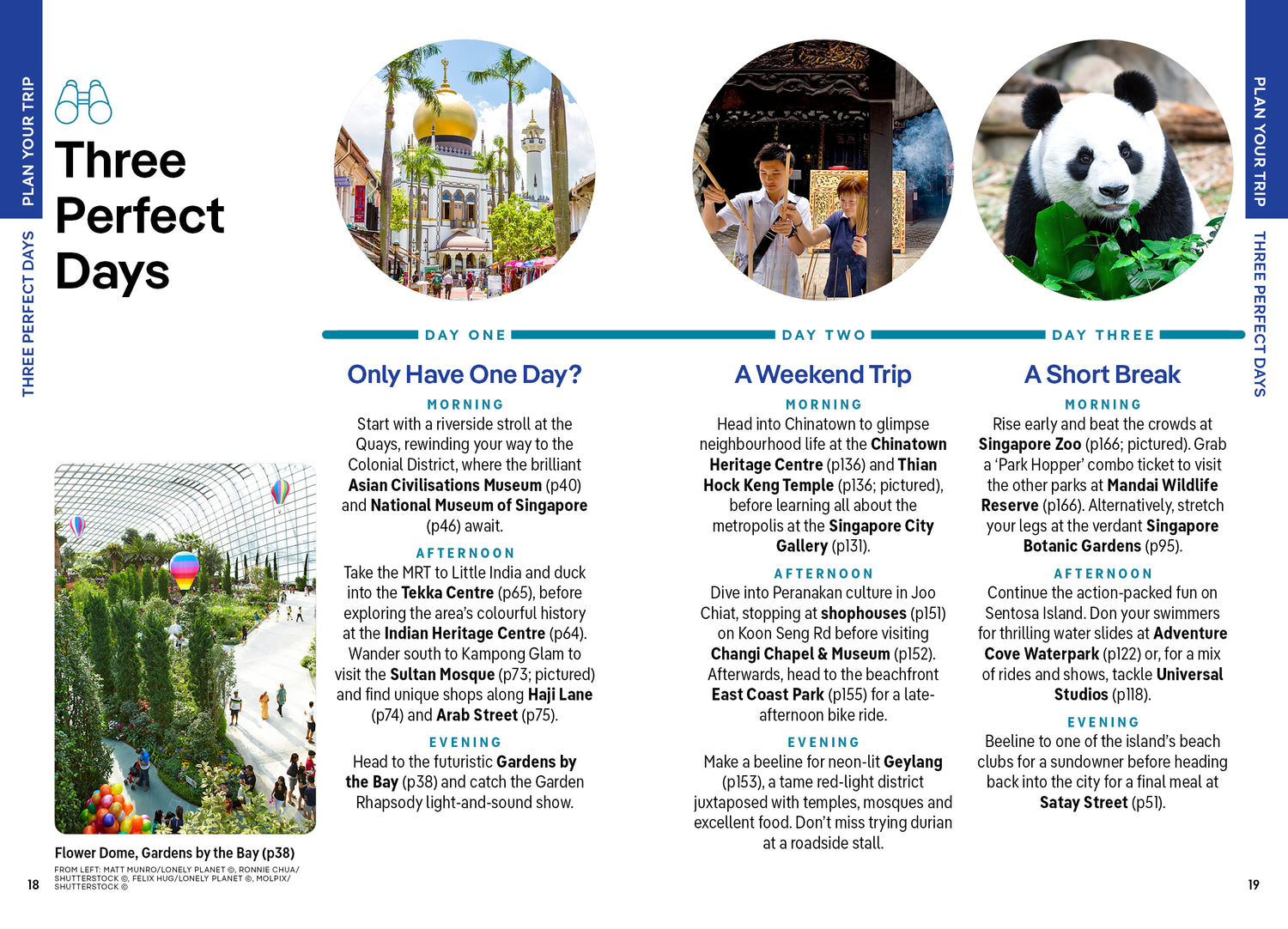 Pocket Singapore - Book + eBook